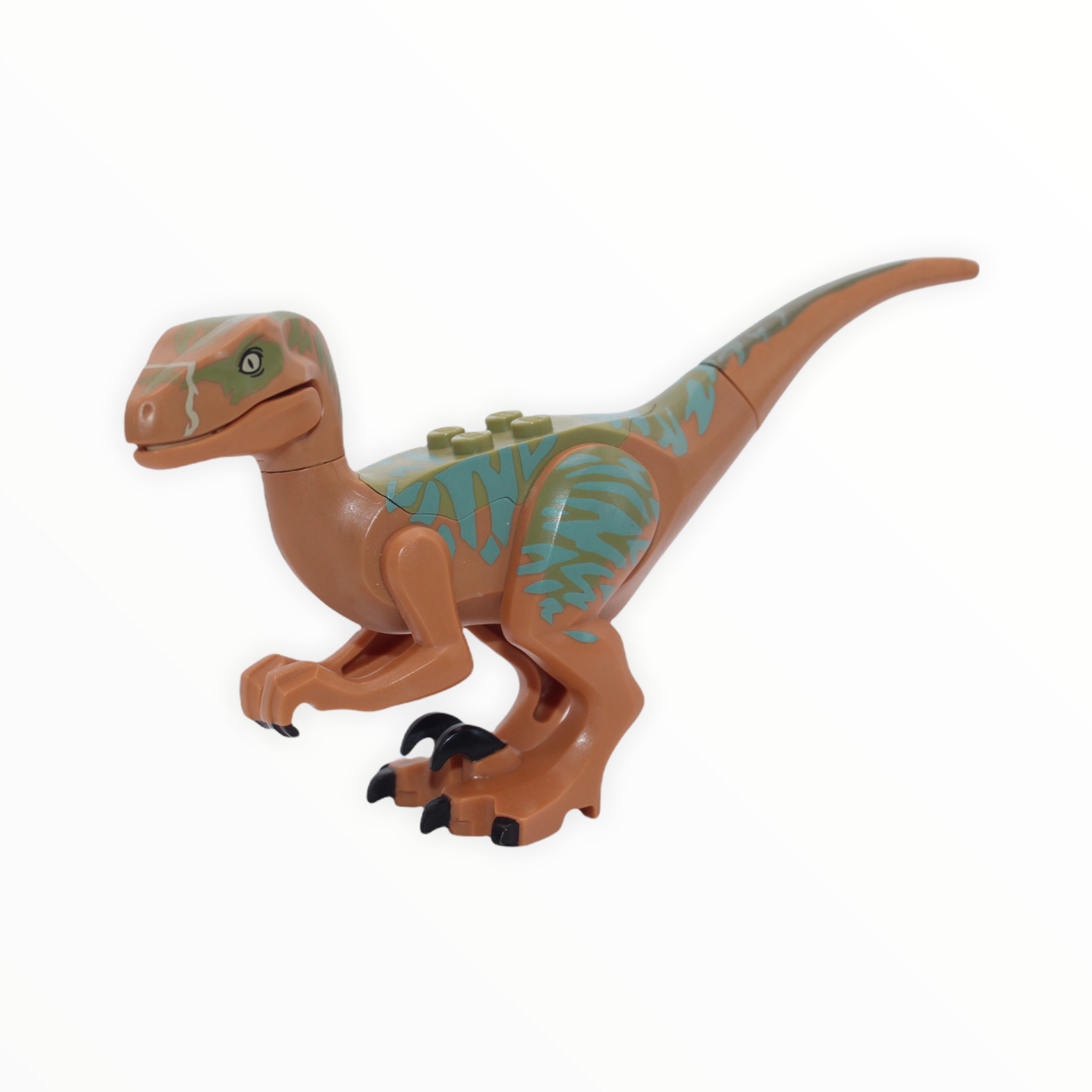 Echo (medium nougat and sand green velociraptor)