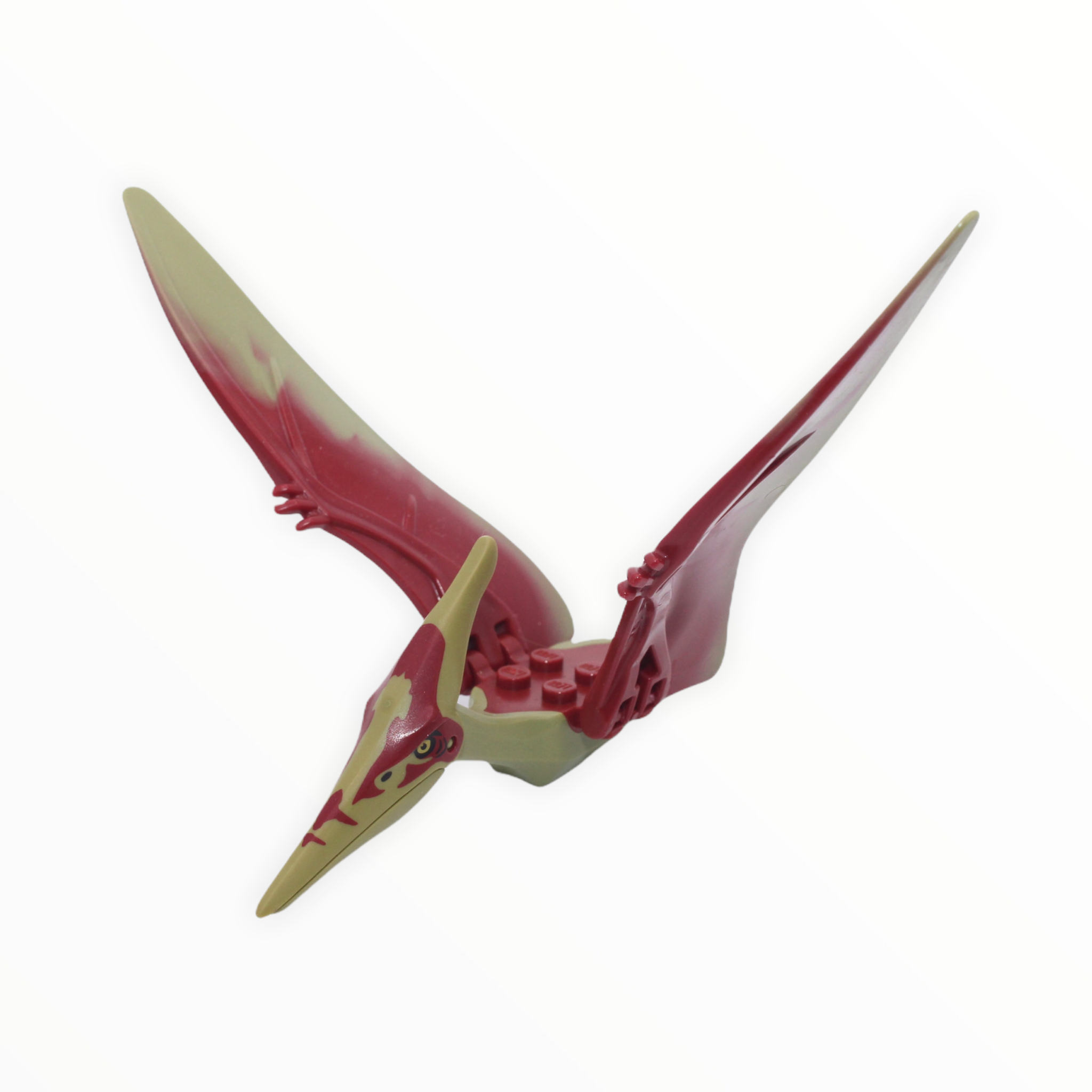 Olive Green and Dark Red Pteranodon