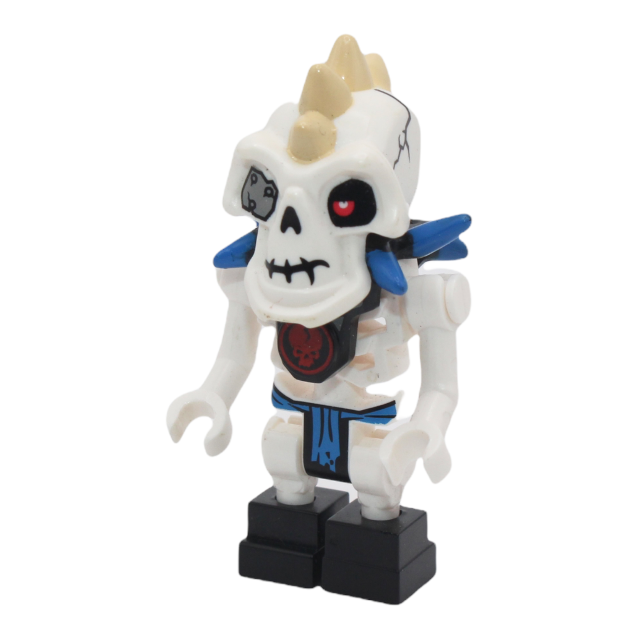 Nuckal (blue spikes)