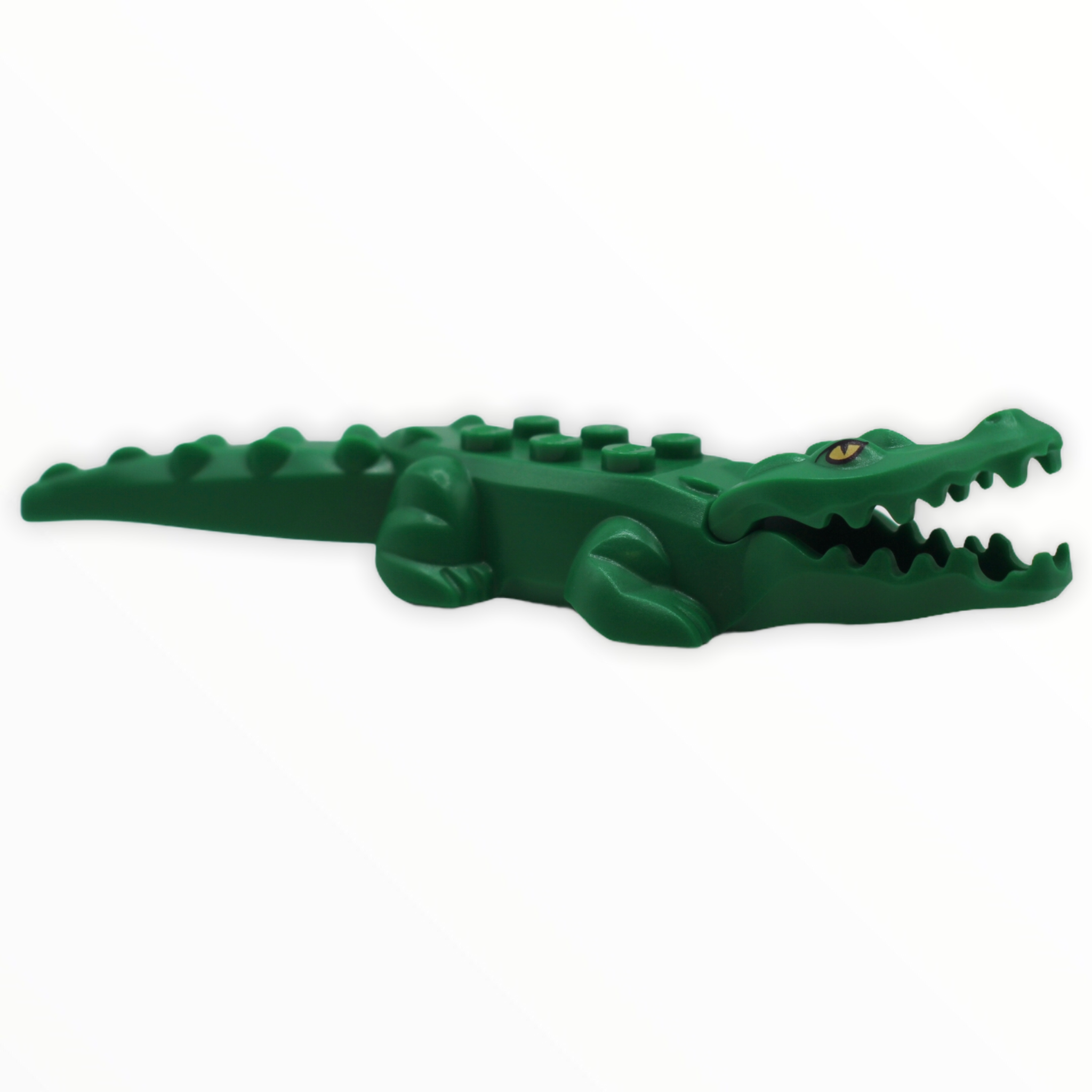 Alligator / Crocodile (green, printed eyes)