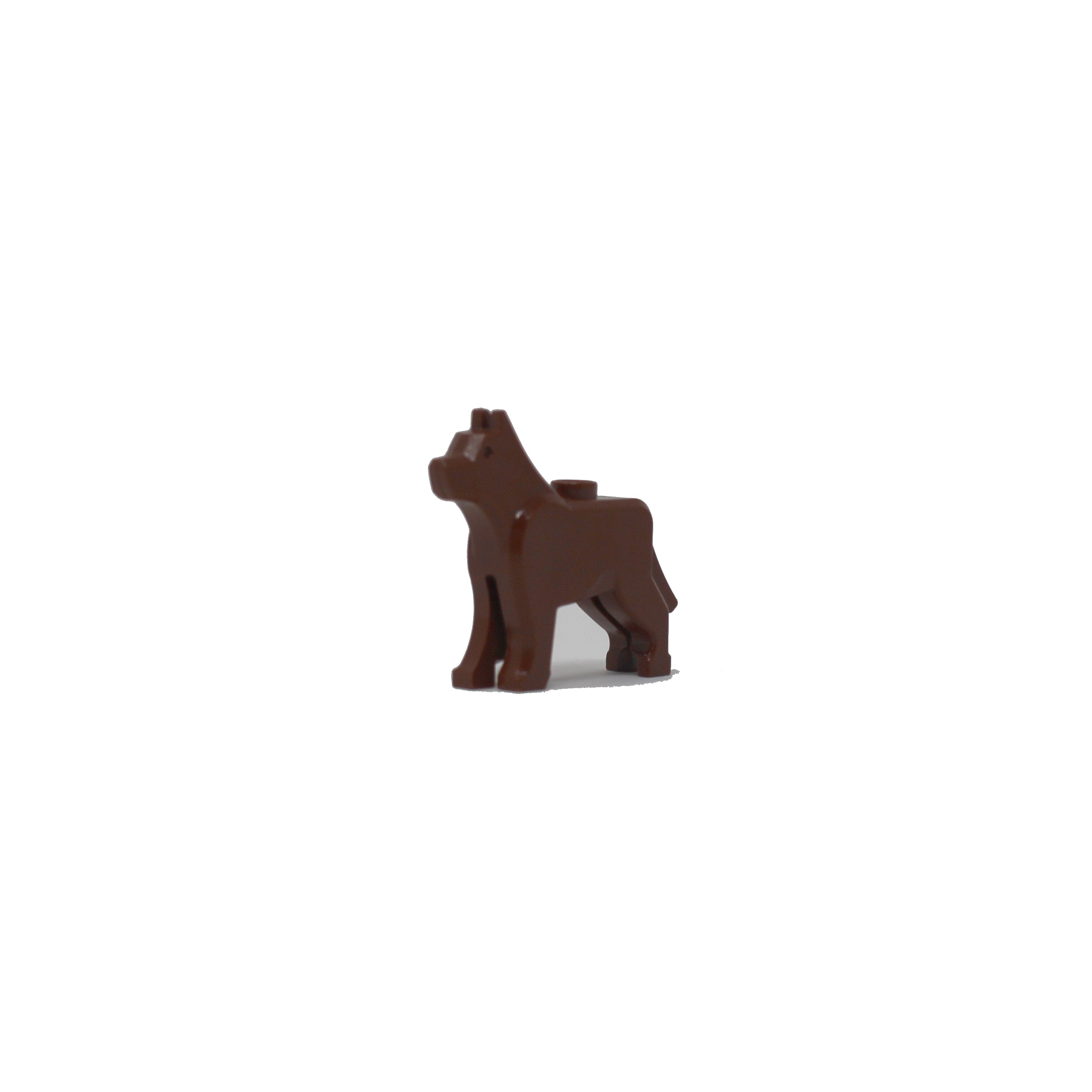 Brown Dog