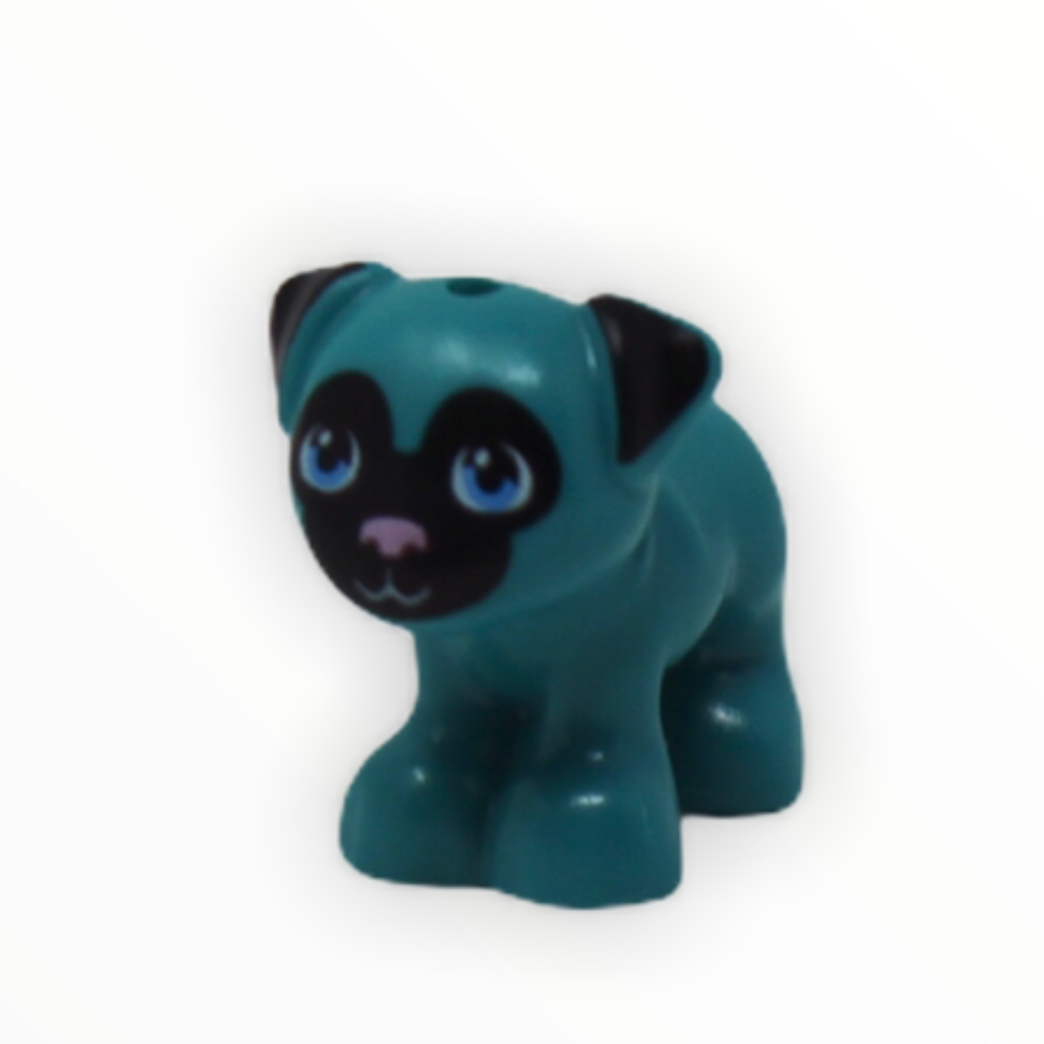 Teal Pug (Friends)
