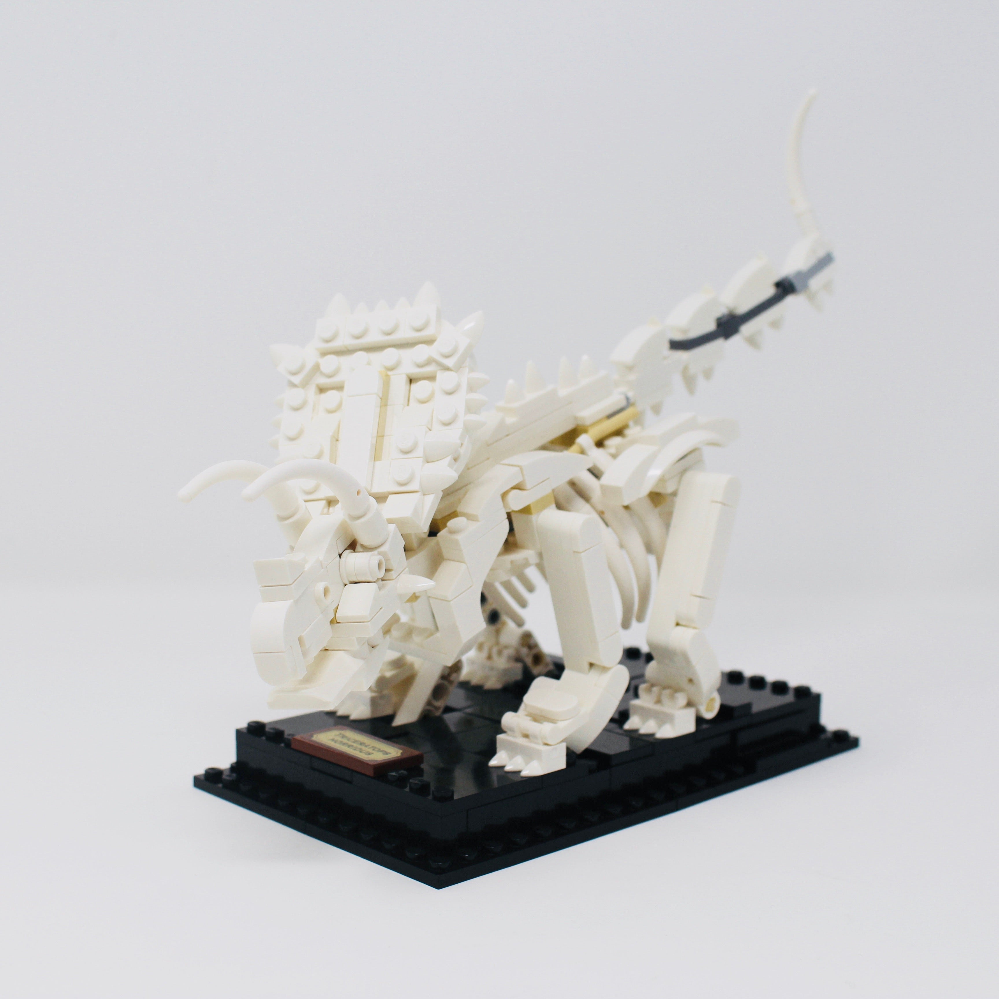 Used Set 21320 LEGO Ideas Dinosaur Fossils