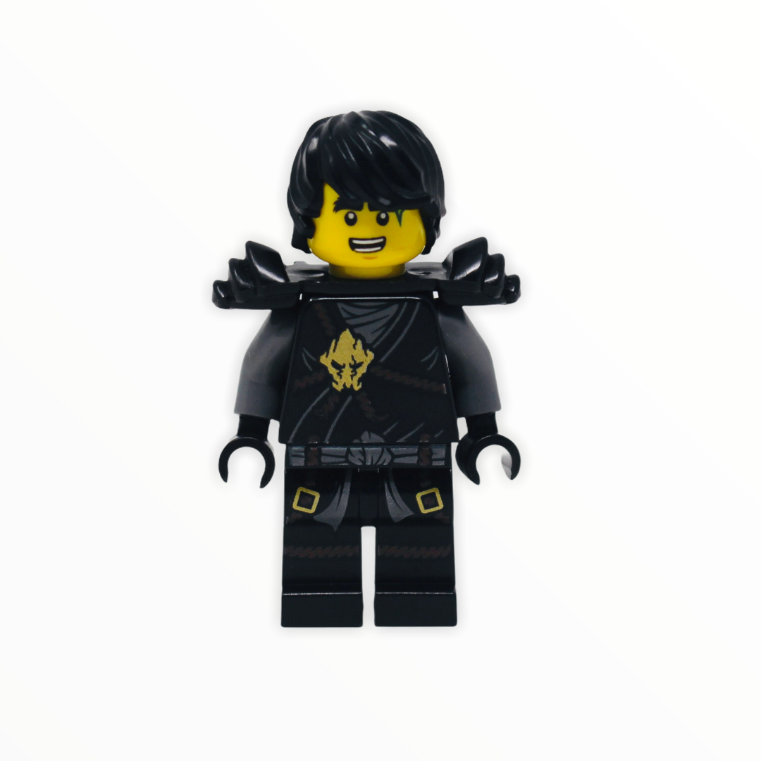 Honor Robe Cole (Day of the Departed, green mark, armor)