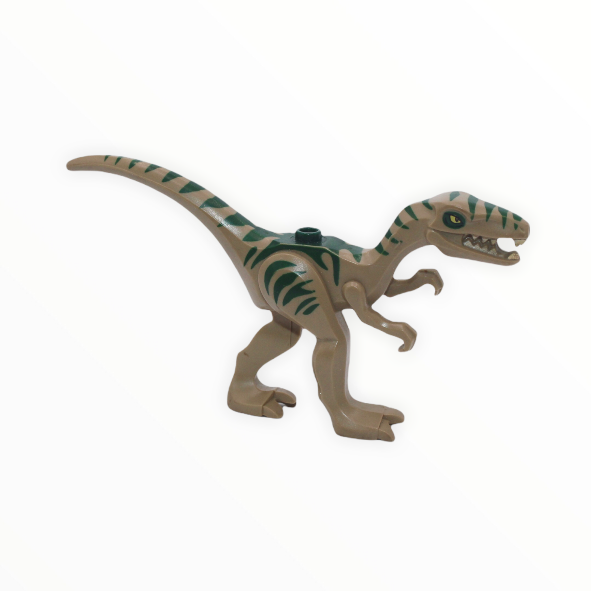 Lego coelophysis hot sale