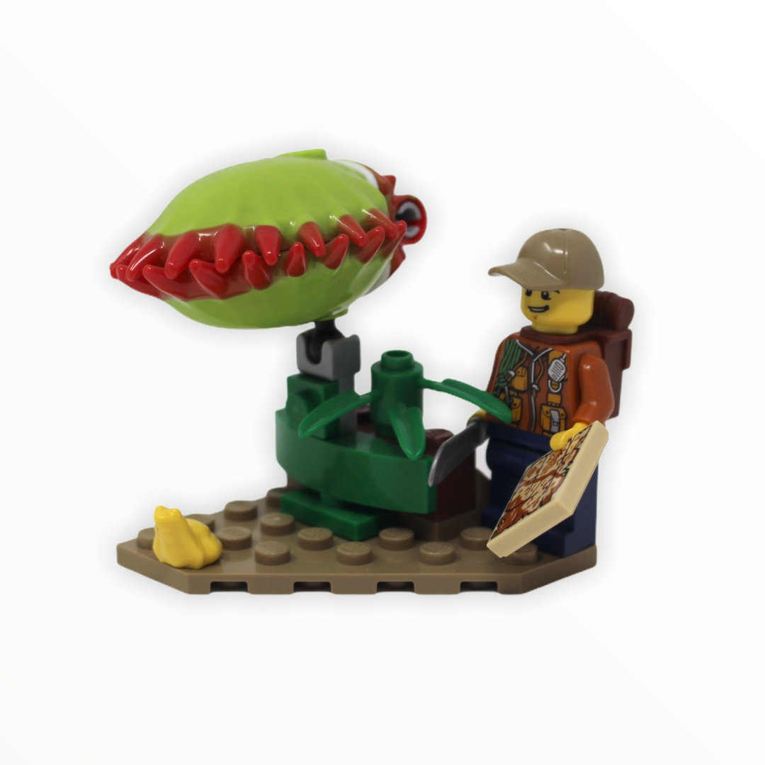 Used Set 60161 City Jungle Exploration Site