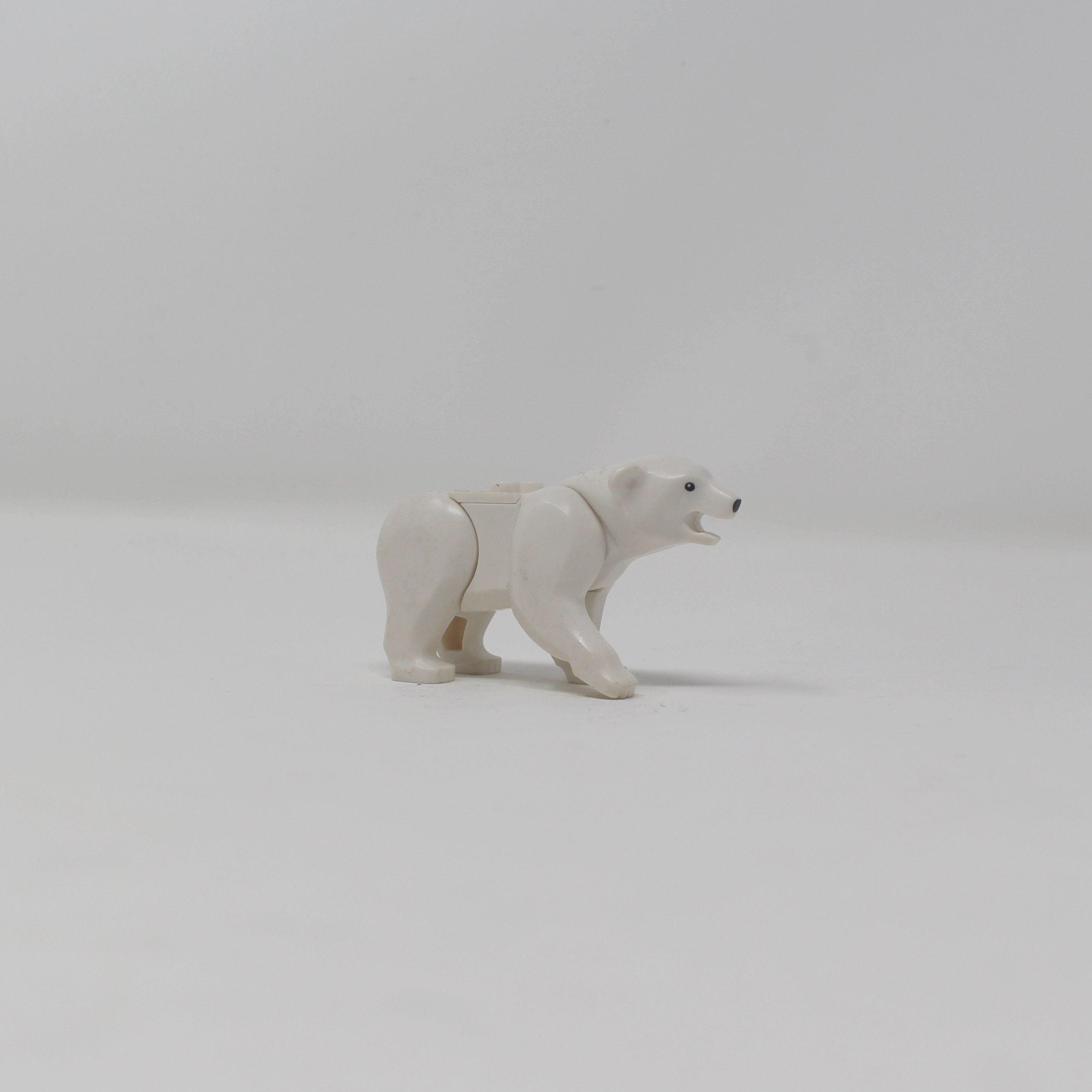 Polar Bear (2014)