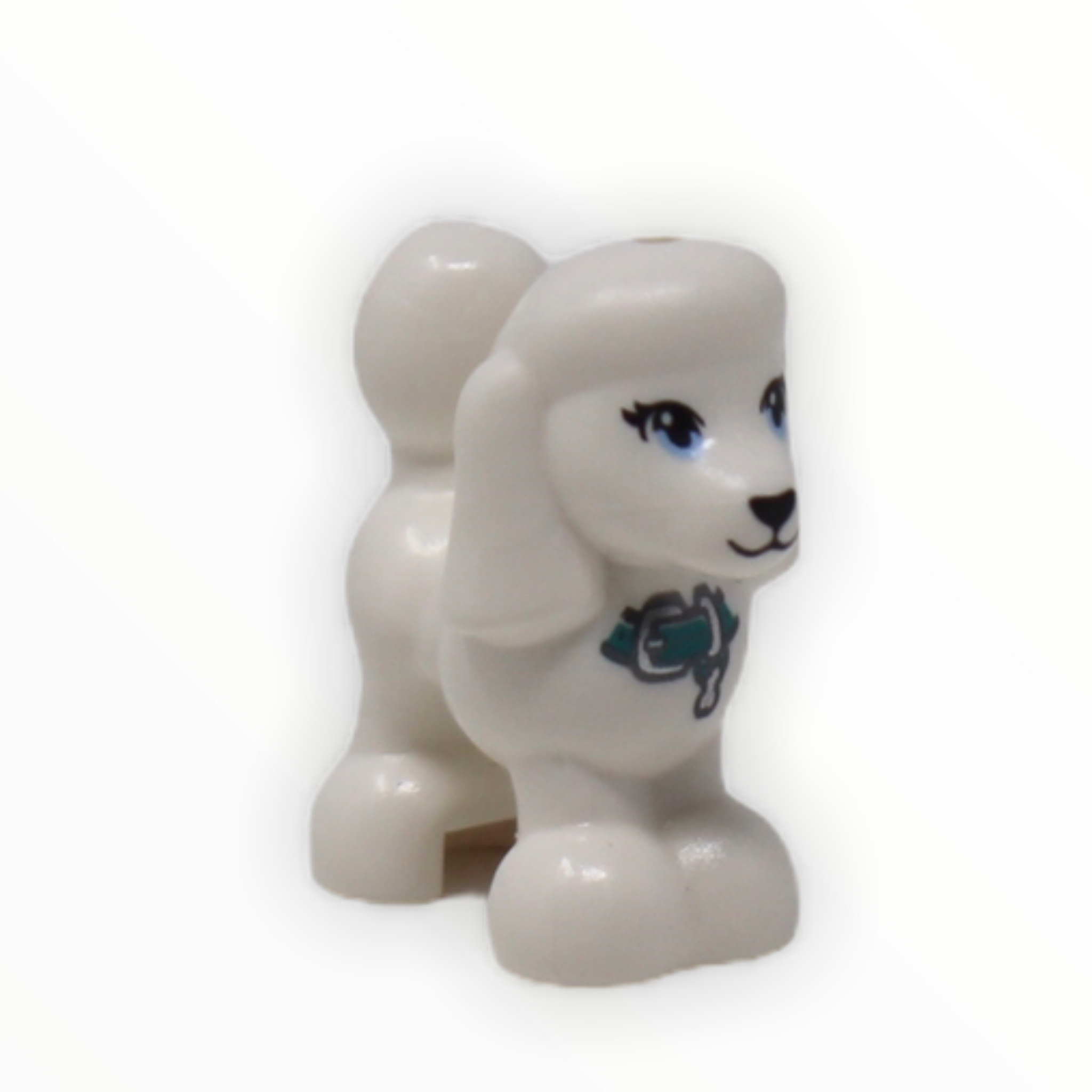 Poodle (turquoise collar, Friends)