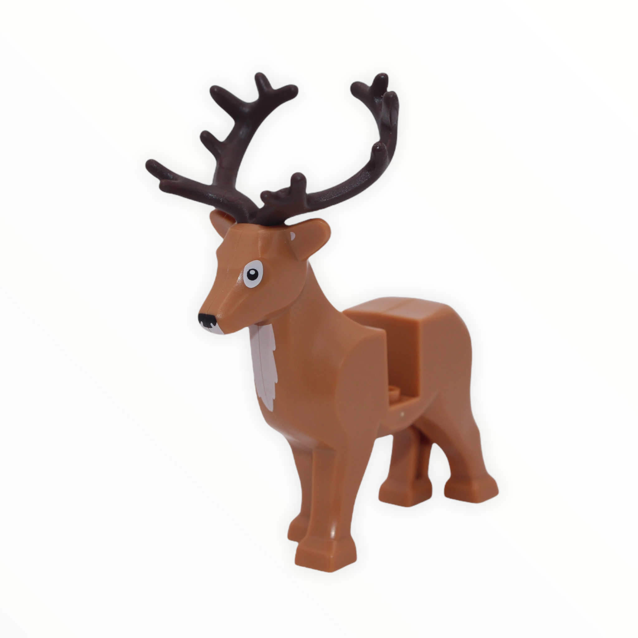 Reindeer