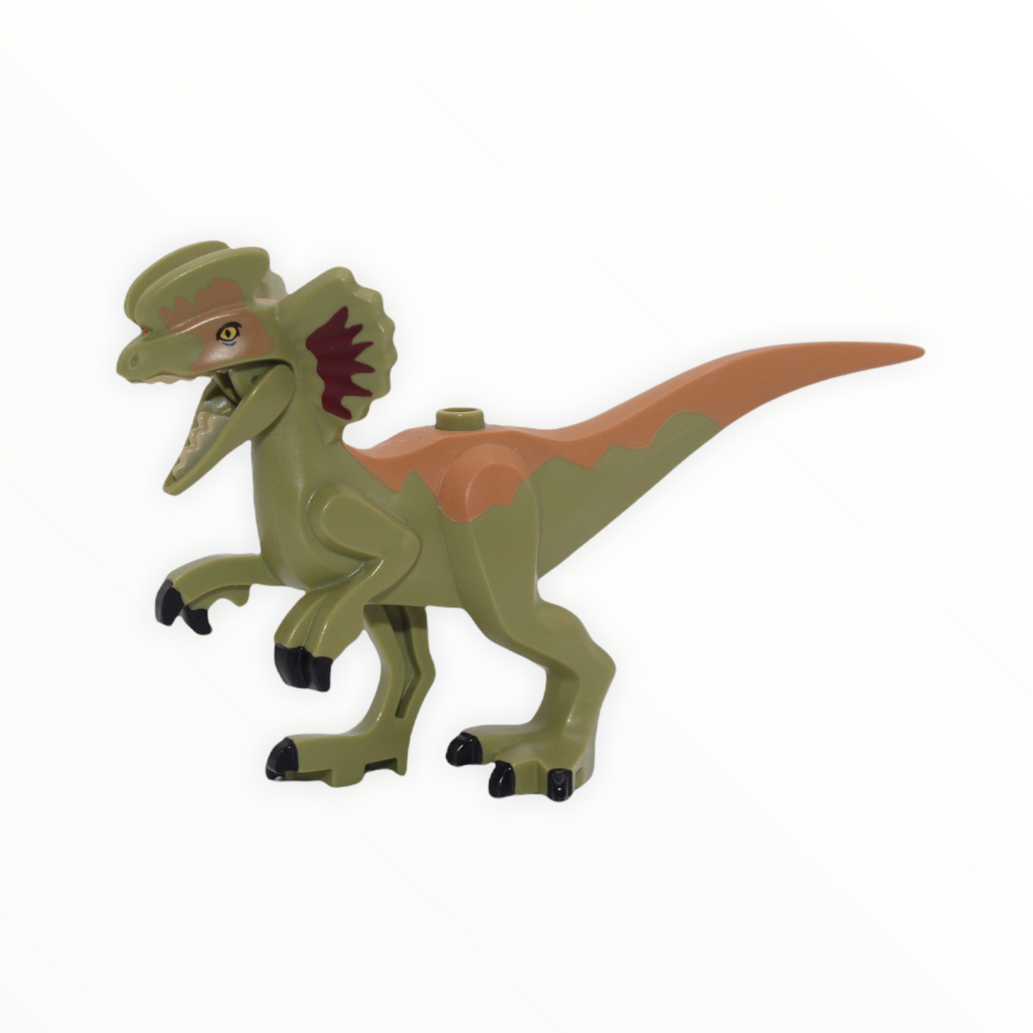 Small Olive Green Dilophosaurus