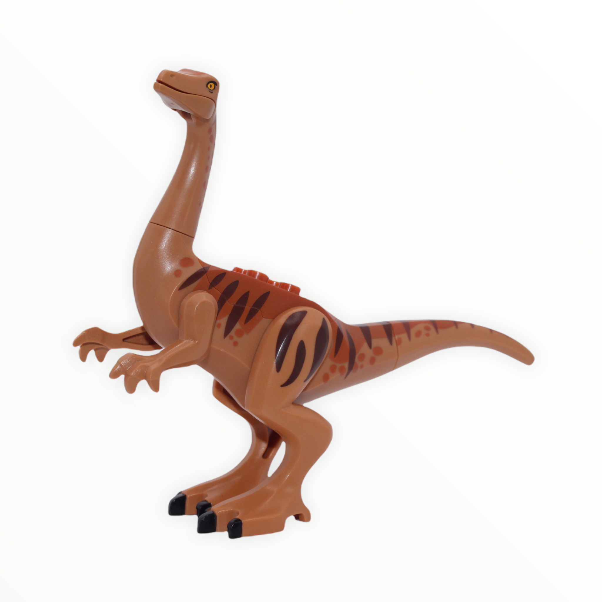 Gallimimus