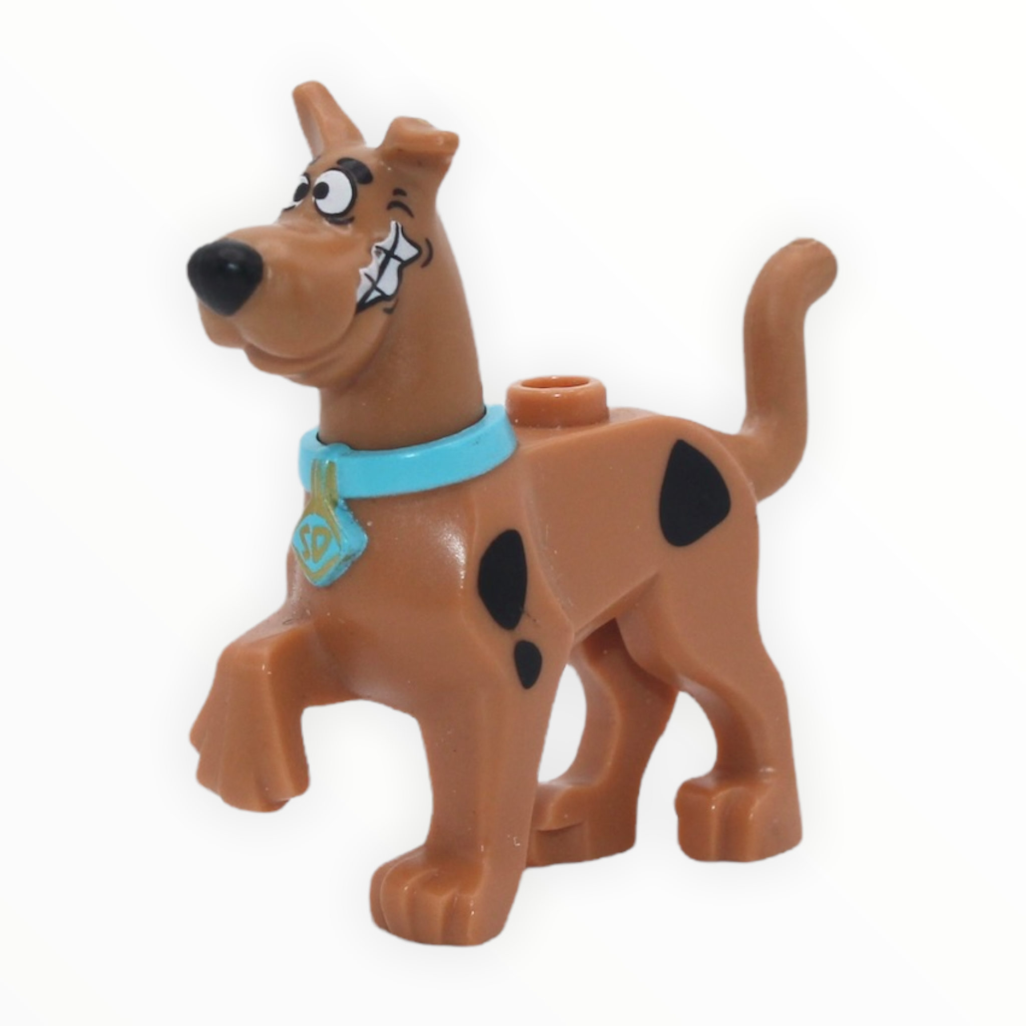 Scooby-Doo (standing, chattering teeth)