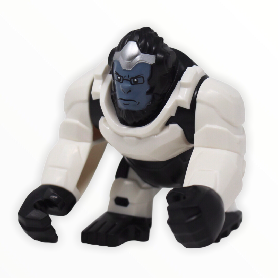 Winston