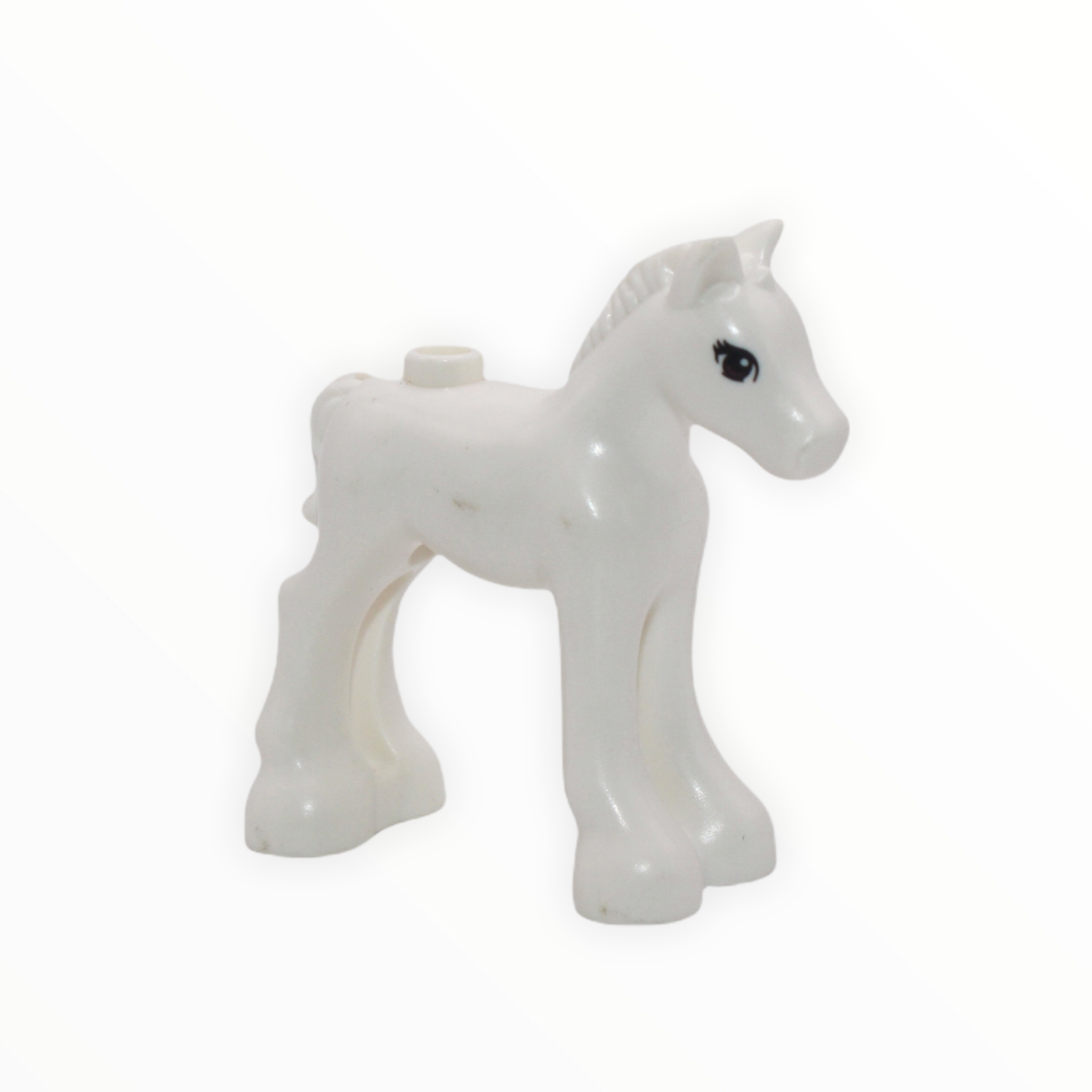 White Foal (Friends)