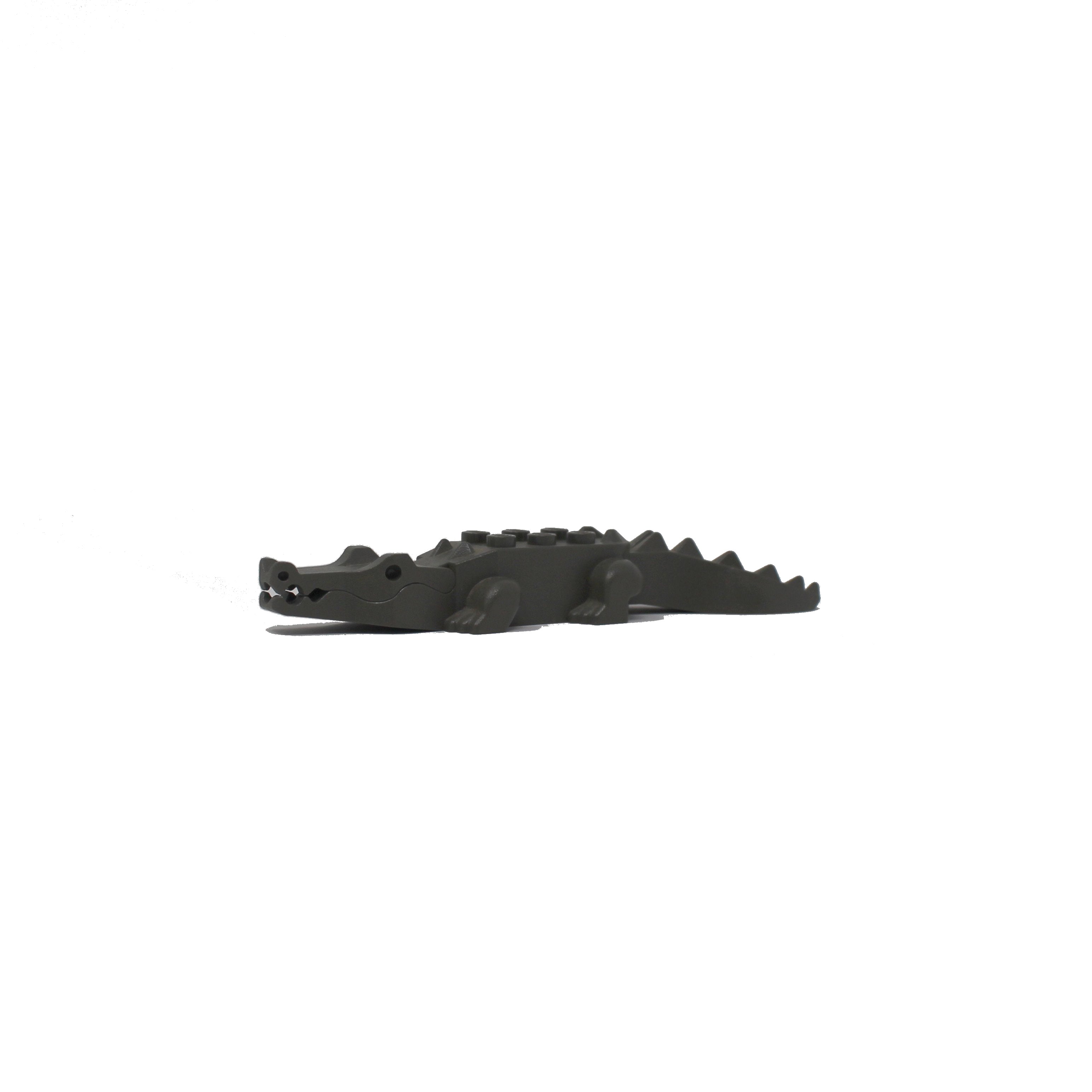 Dark Gray Alligator / Crocodile