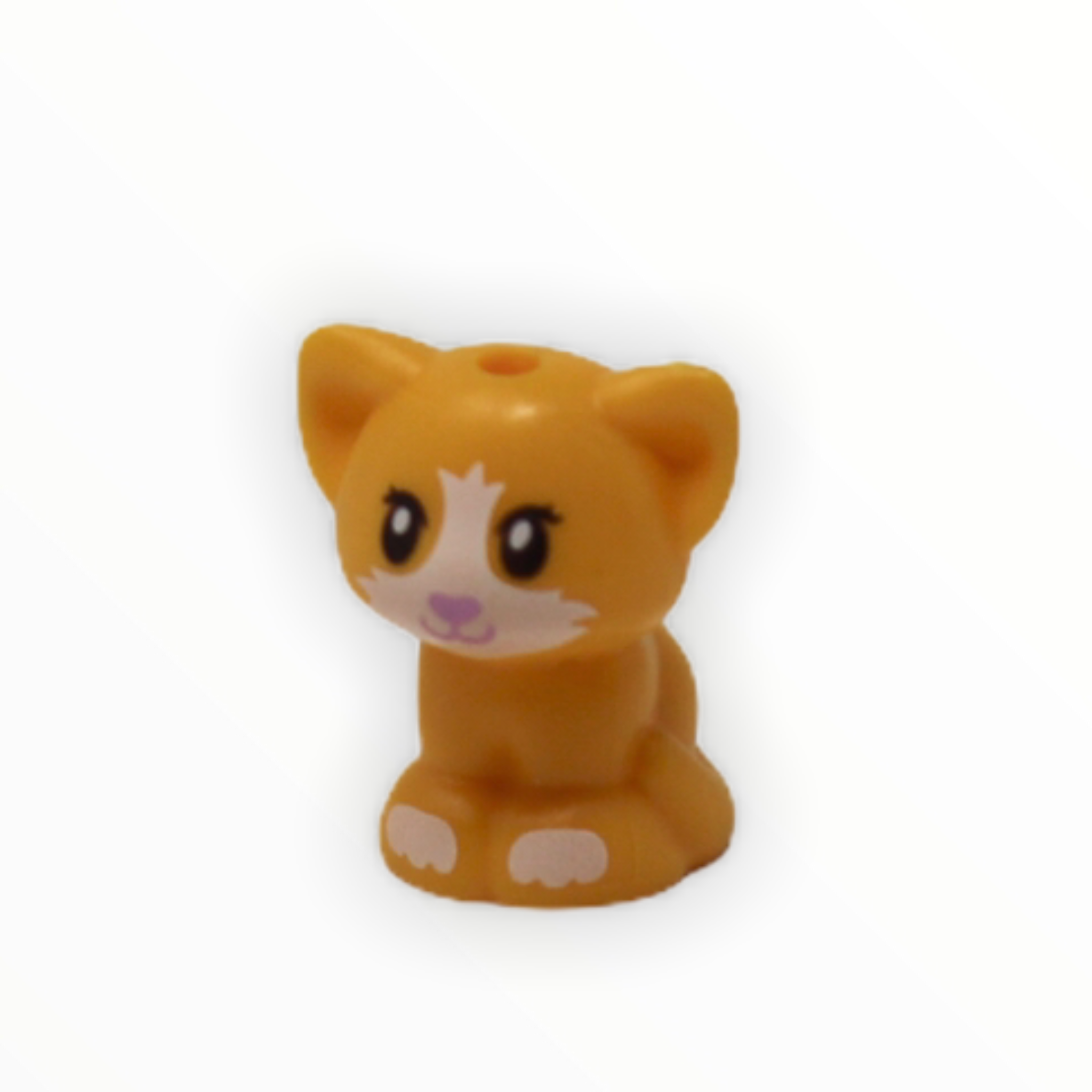 Kitten (Friends, sitting, white muzzle)