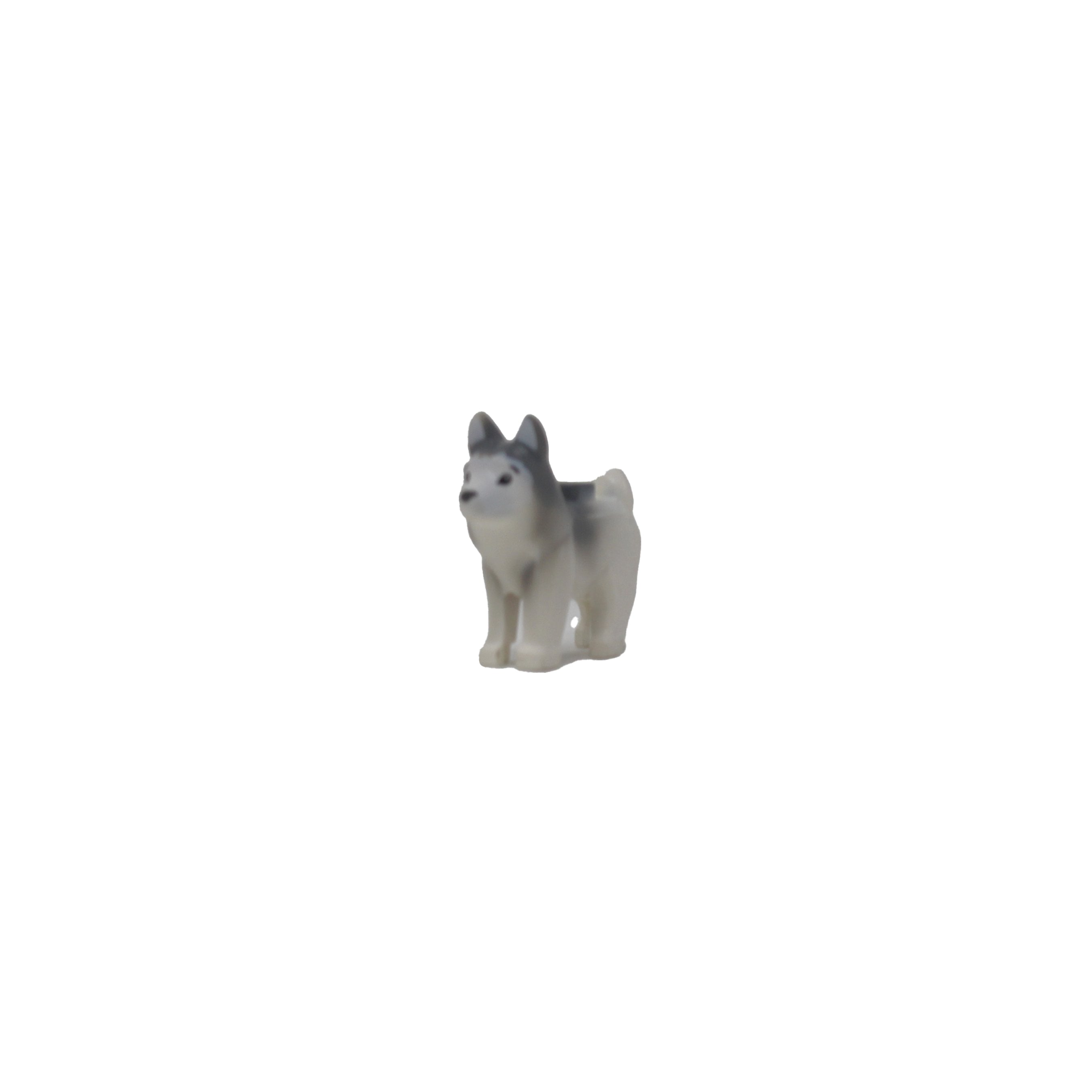 Husky