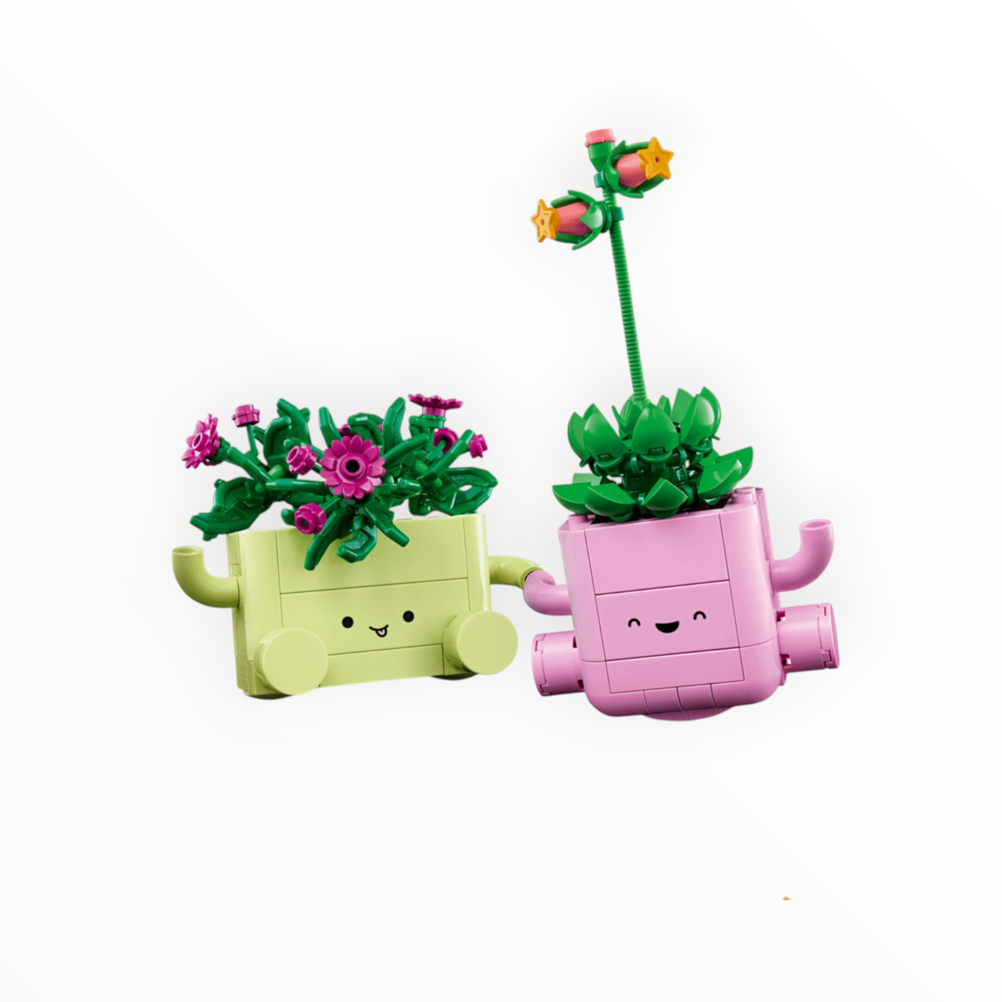 11506 Botanicals Rocking Plants