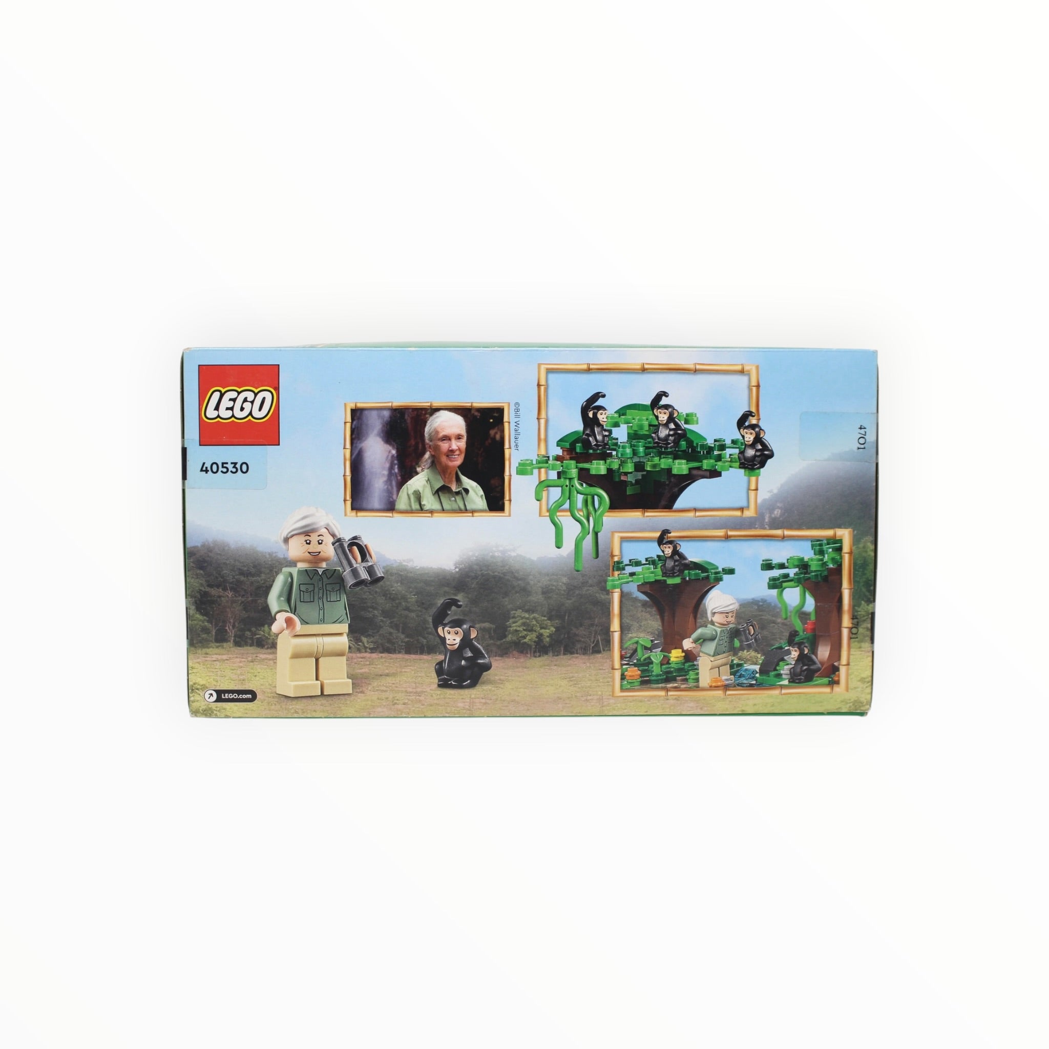 Retired Set 40530 LEGO Jane Goodall Tribute (damaged box)