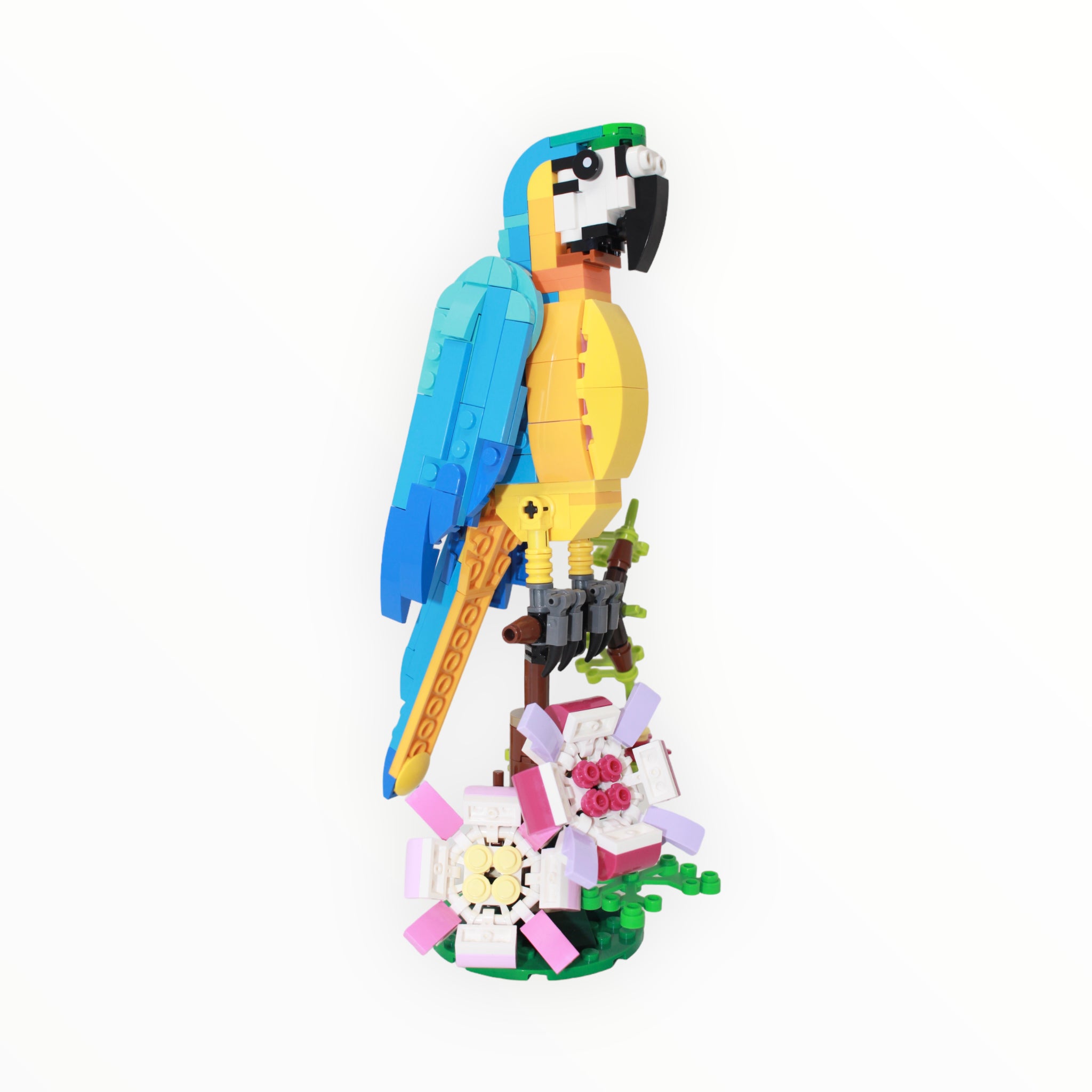 Used Set 31136 Creator Exotic Parrot