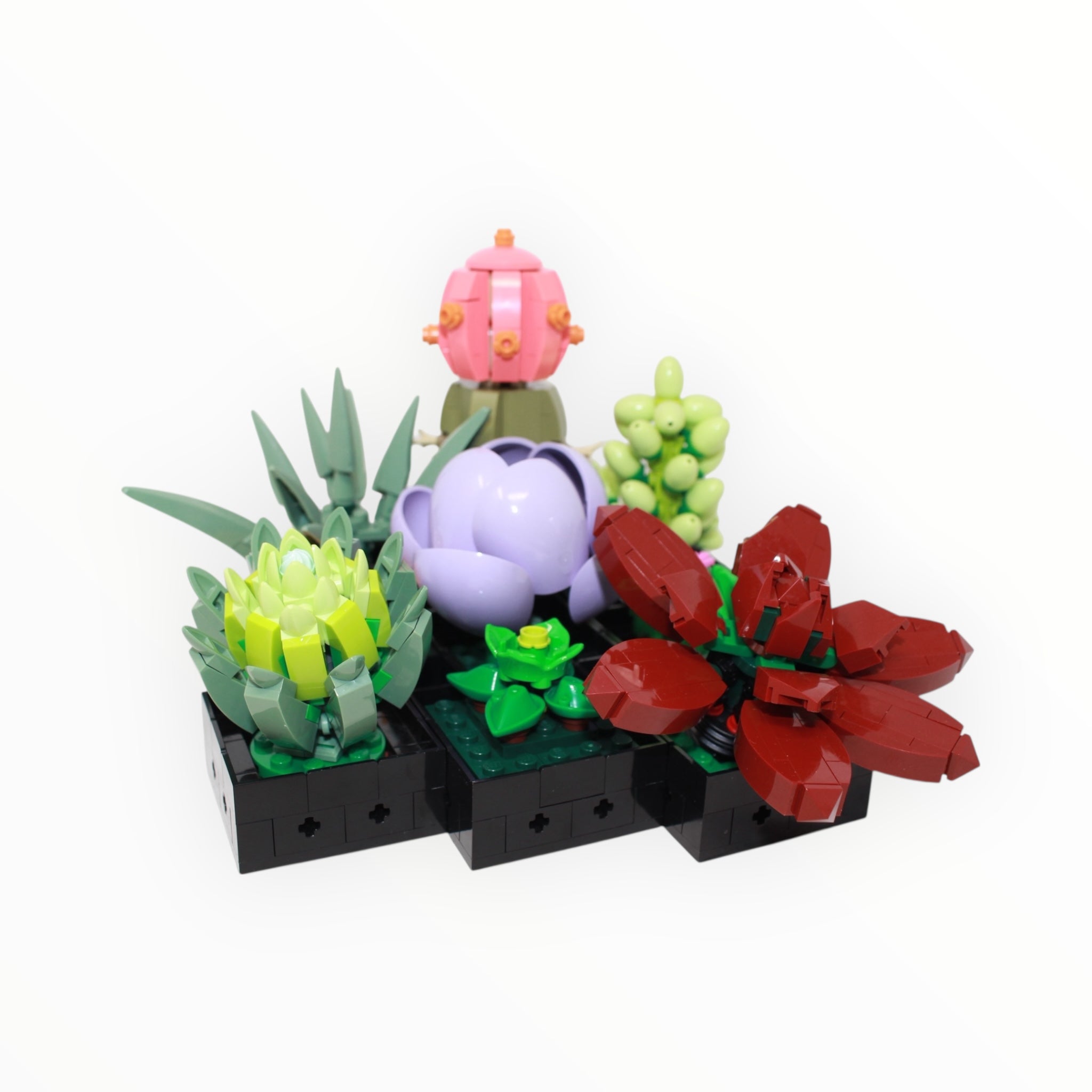 Used Set 10309 Botanical Collection Succulents