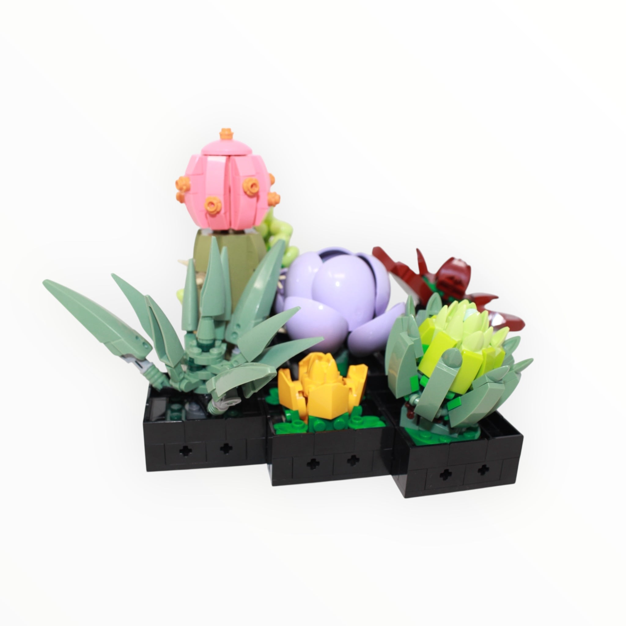 Used Set 10309 Botanical Collection Succulents
