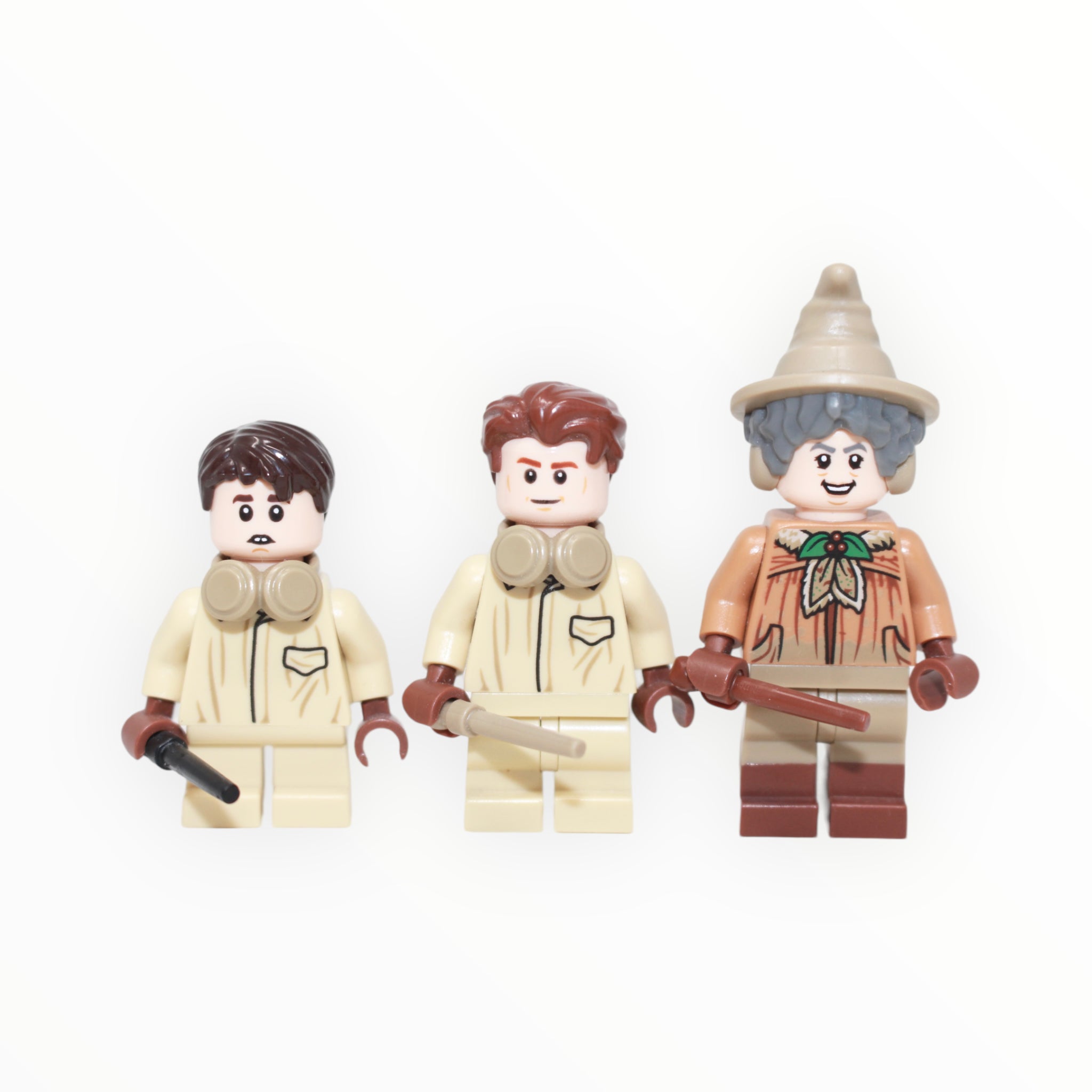 Used Set 76384 Harry Potter Hogwarts Moment: Herbology Class
