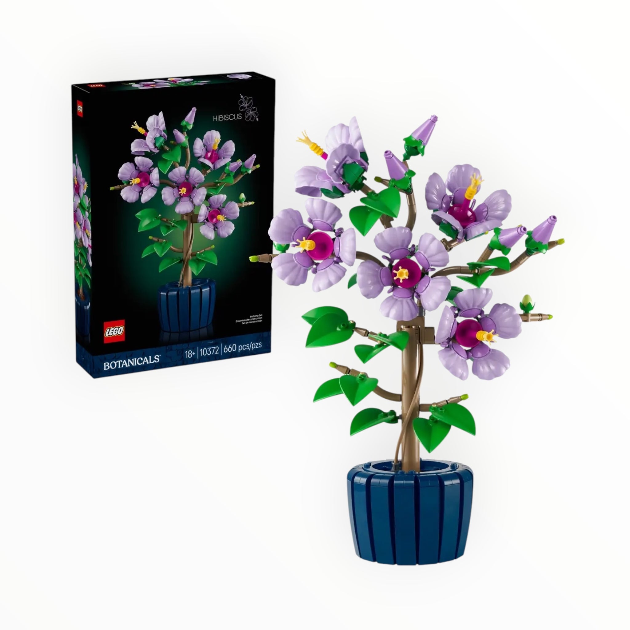 10372 Botanicals Hibiscus