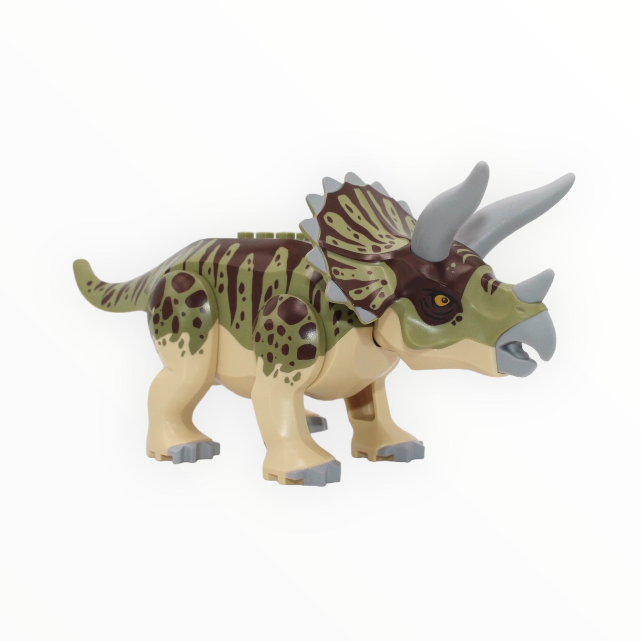 Triceratops (olive green back, tan belly, 2019)