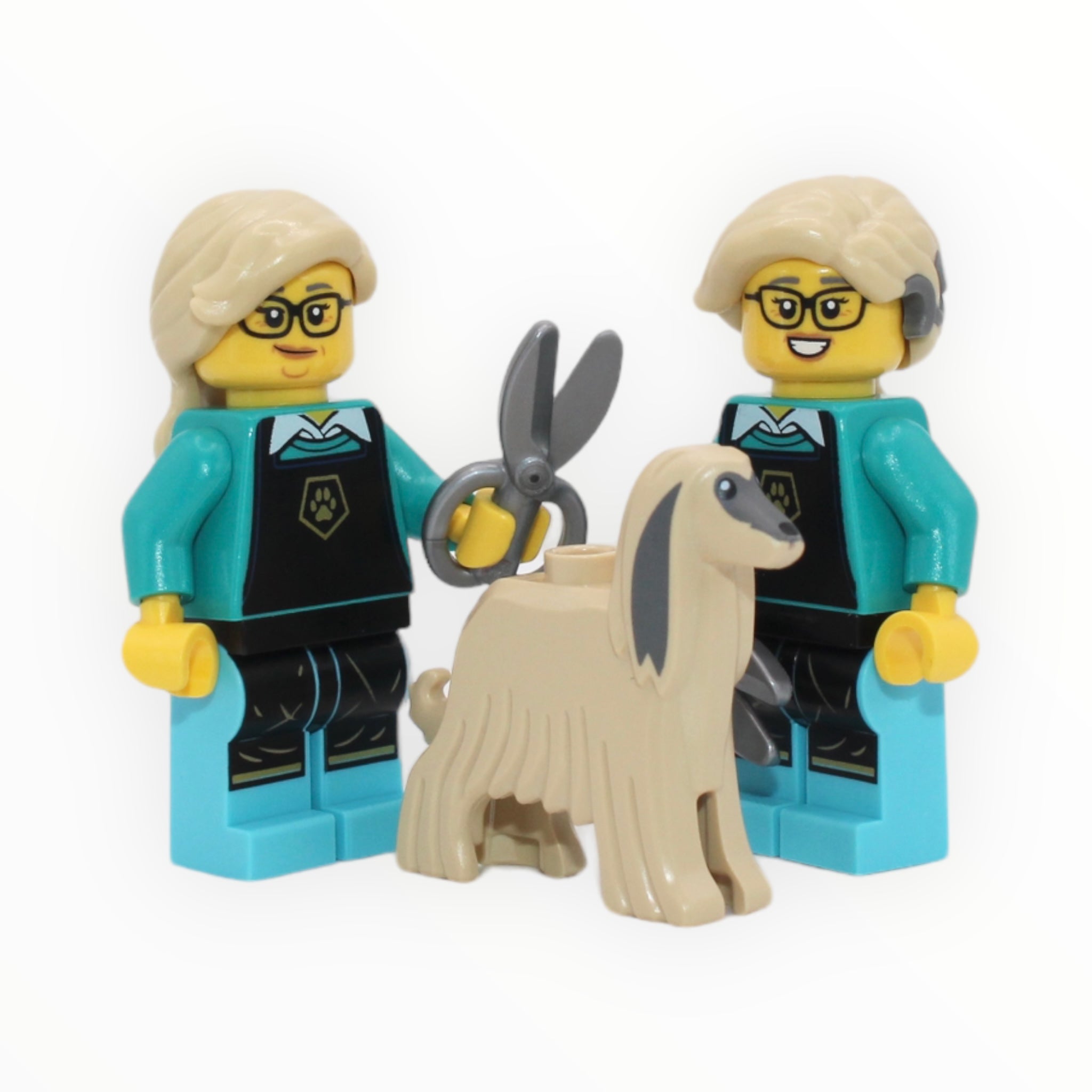 LEGO Series 25: Pet Groomer