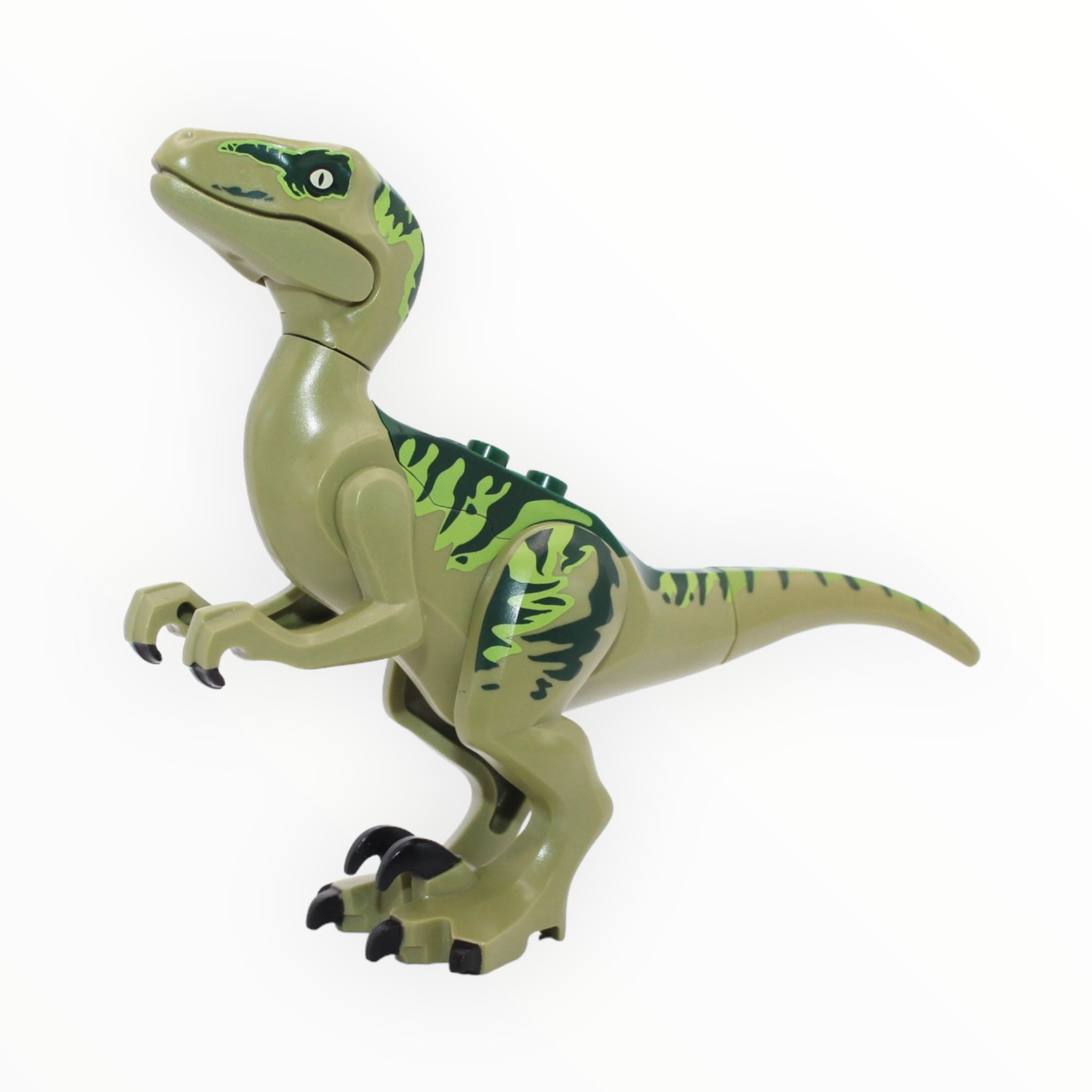 Charlie (olive green and dark green velociraptor)