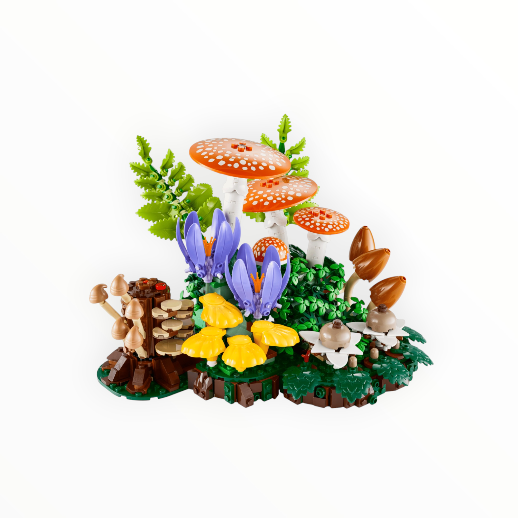 11505 Botanicals Woodland Mushrooms