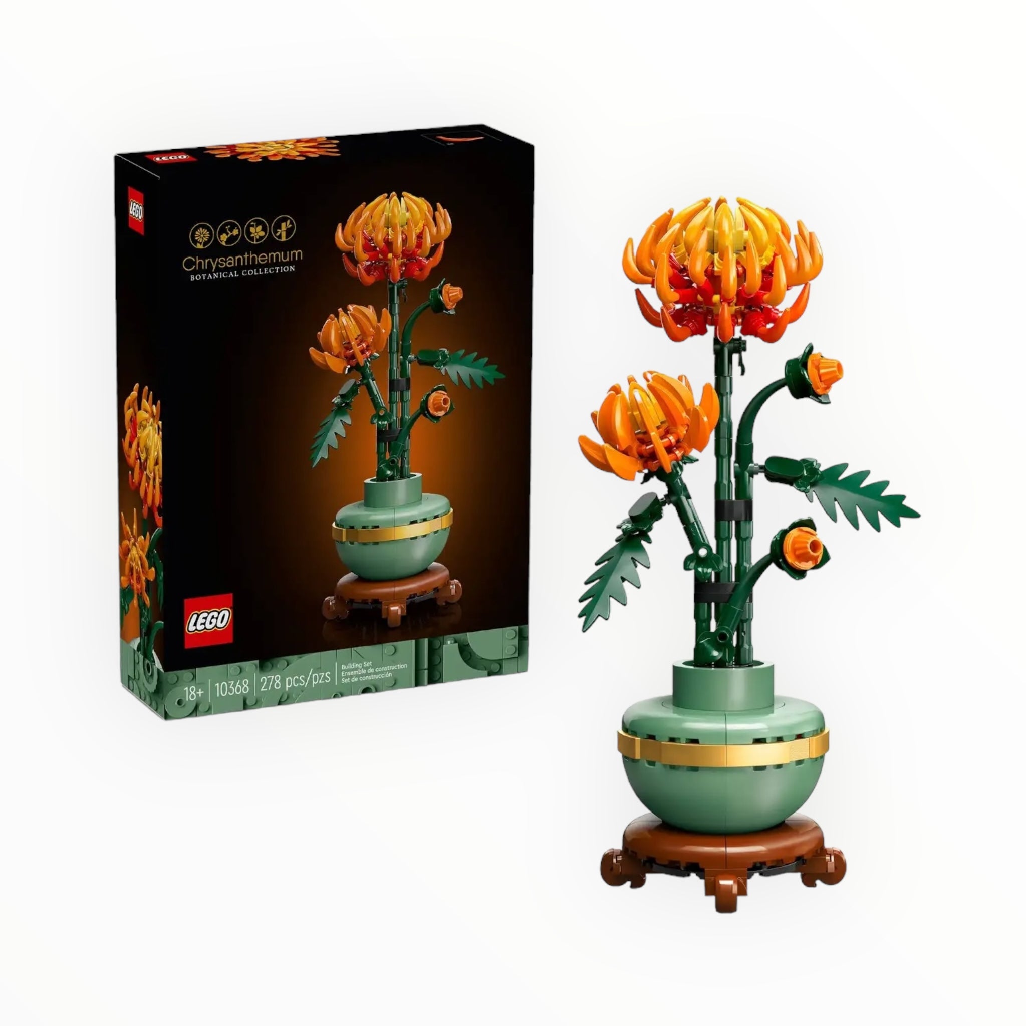 10368 Botanical Collection Chrysanthemum Flower