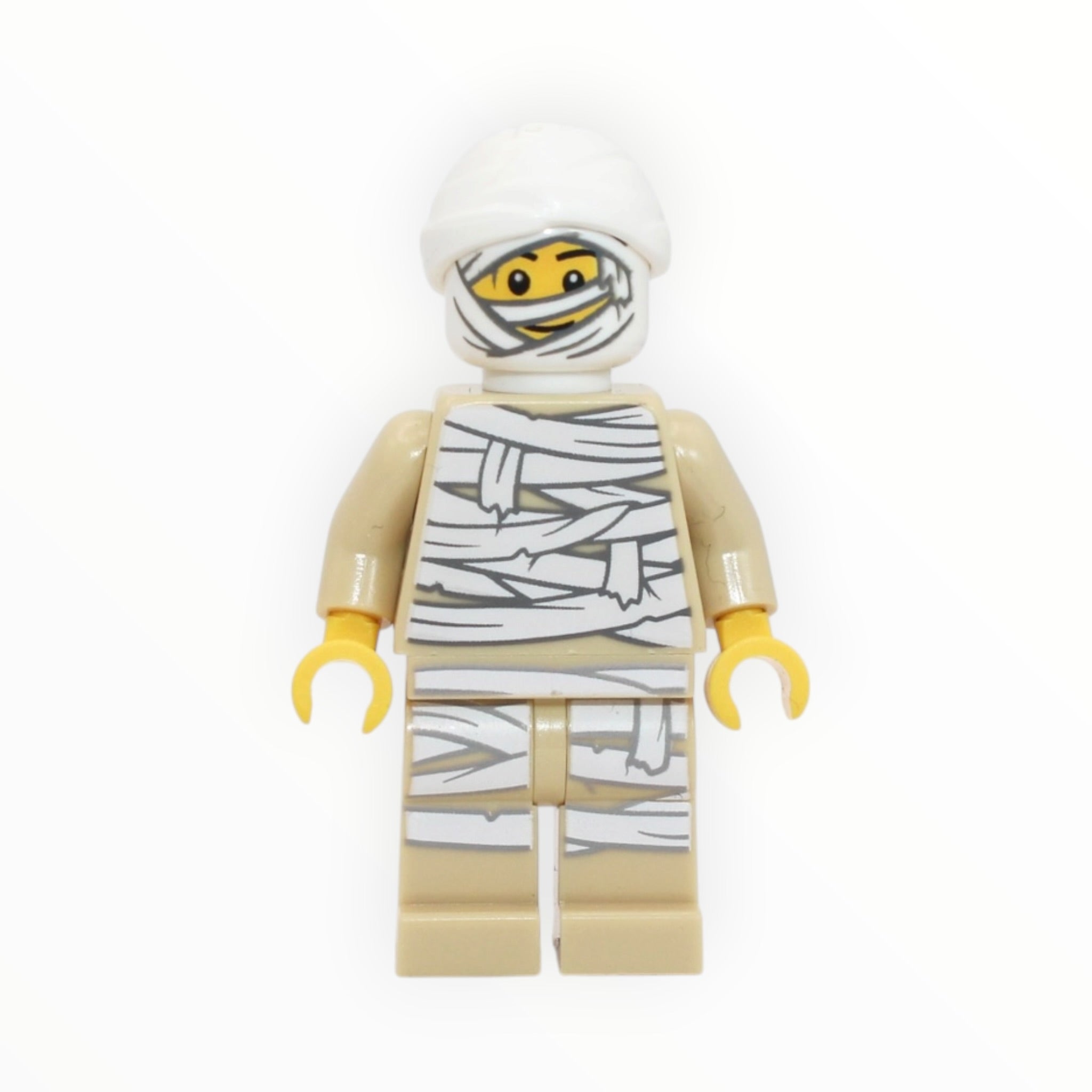 Mummy Costume Guy (2025)