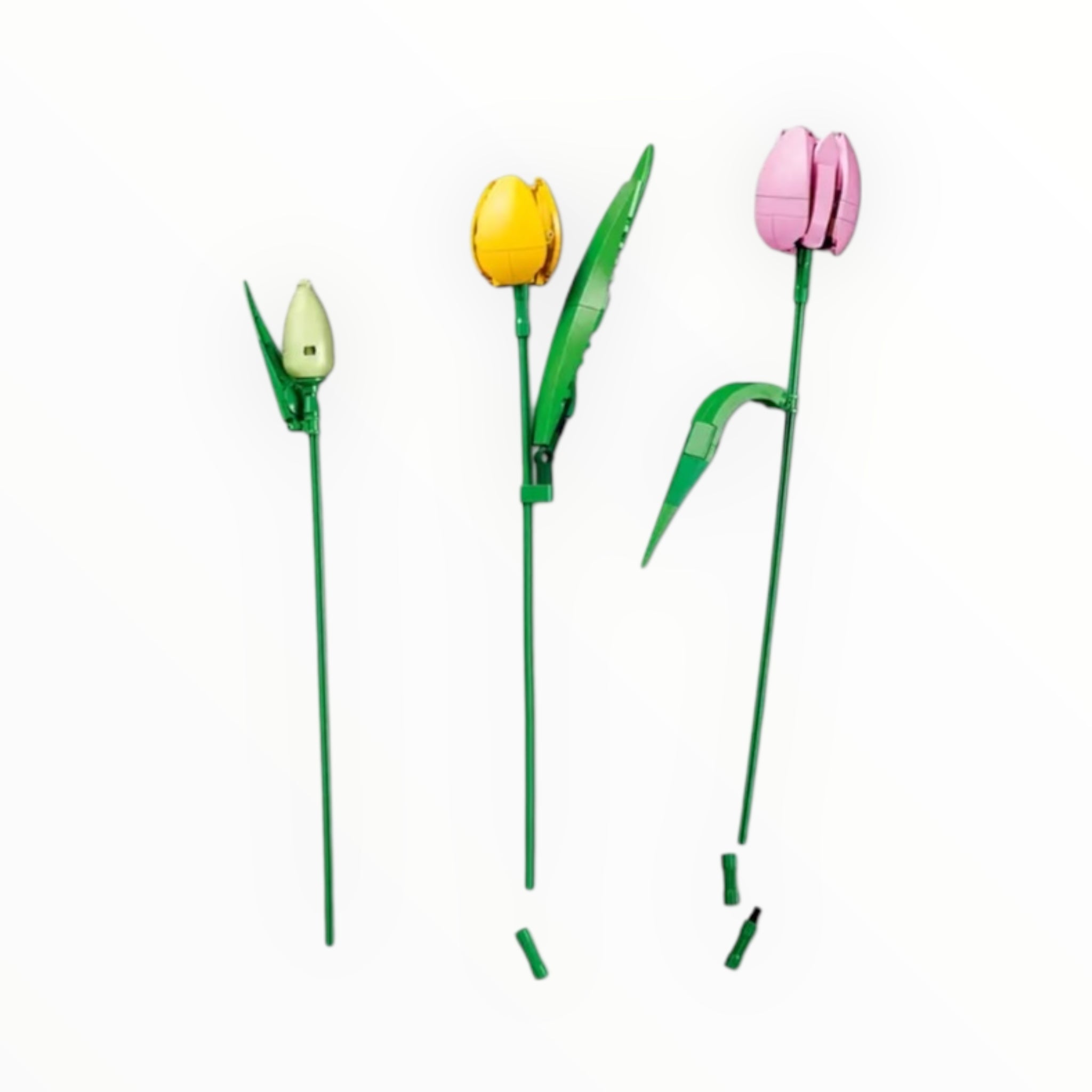 11501 Botanicals Tulip Bouquet