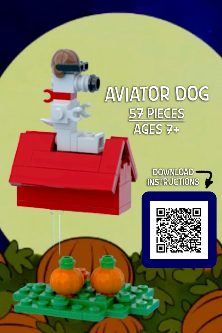 Aviator Dog Custom Build