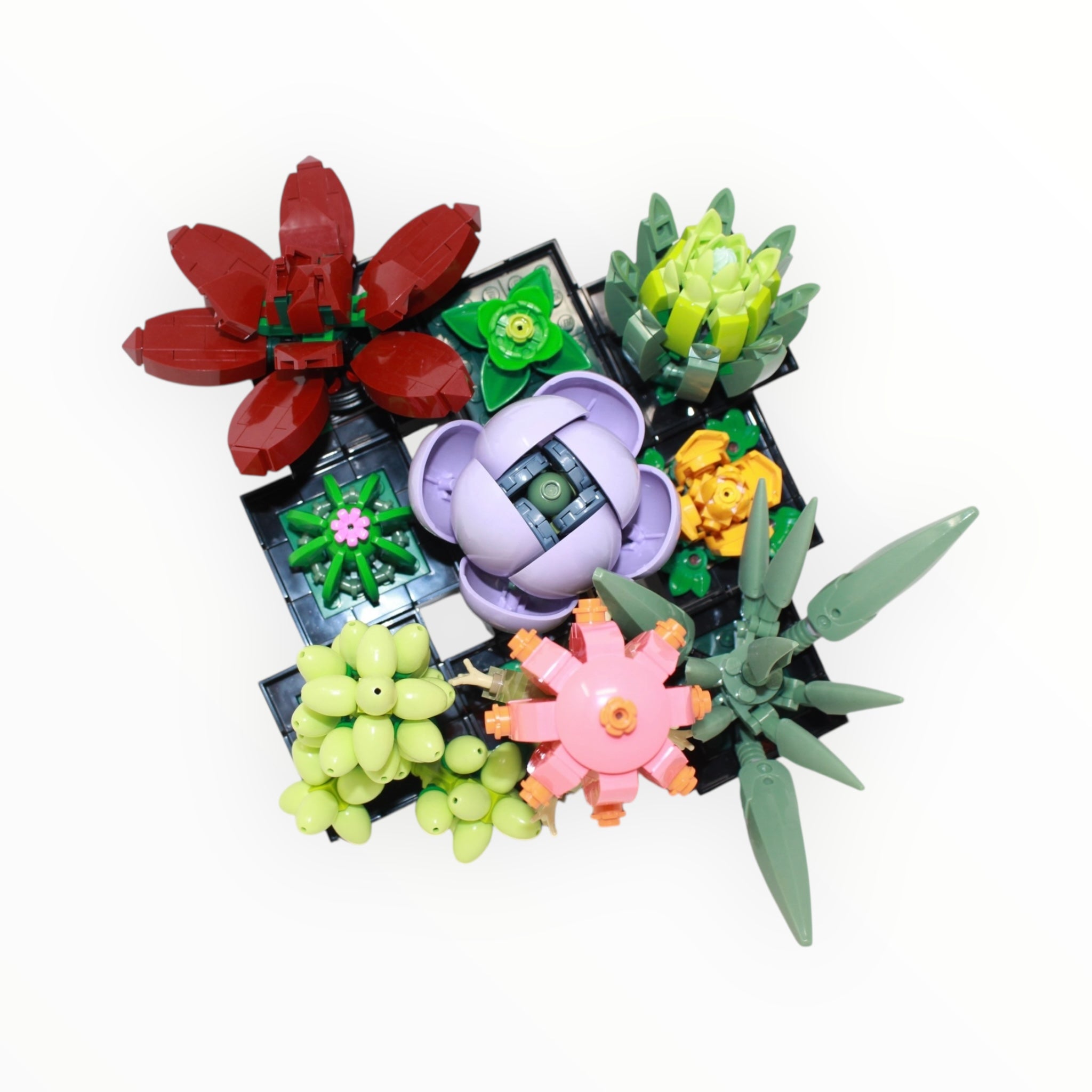 Used Set 10309 Botanical Collection Succulents