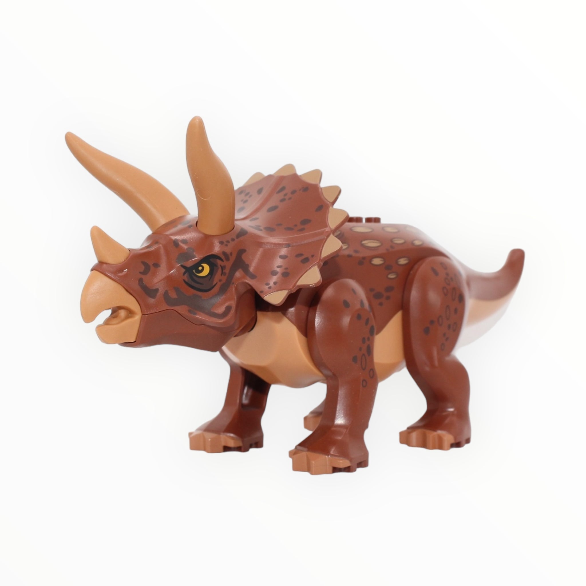 Triceratops (reddish brown back, medium nougat belly, 2023)
