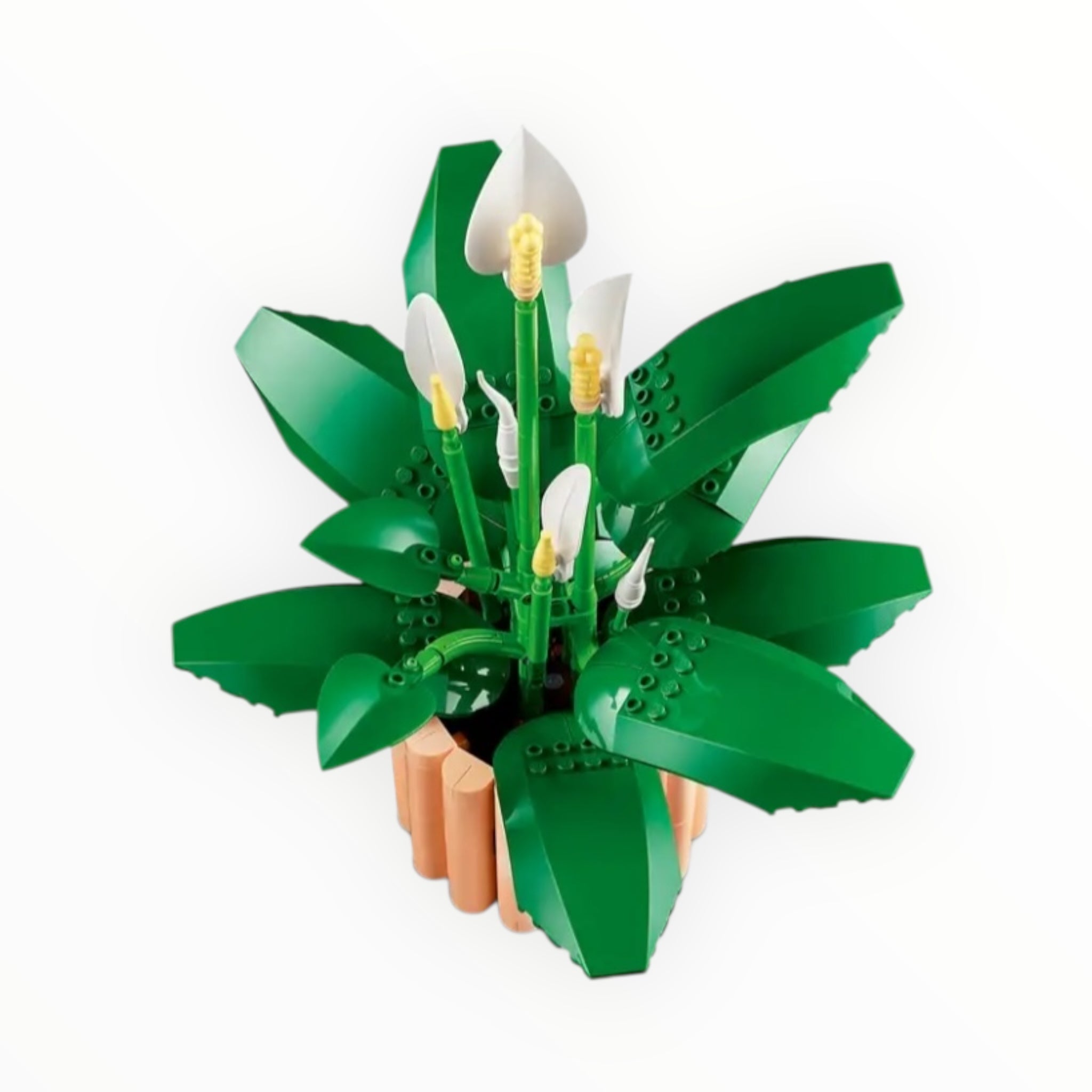 11504 Botanicals Peace Lily