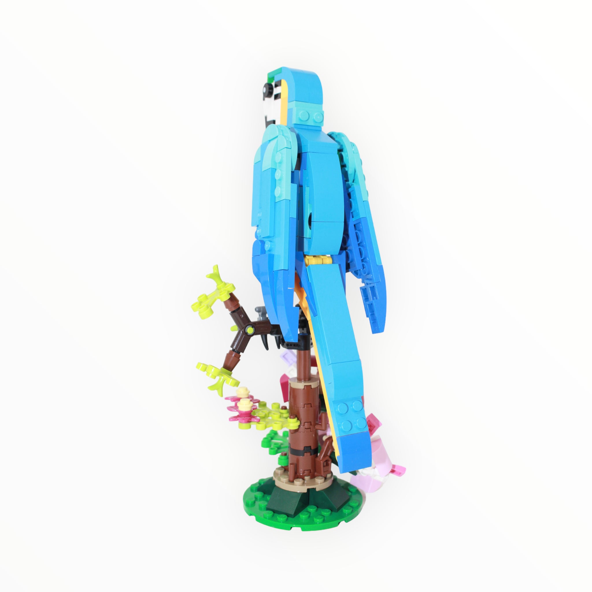 Used Set 31136 Creator Exotic Parrot
