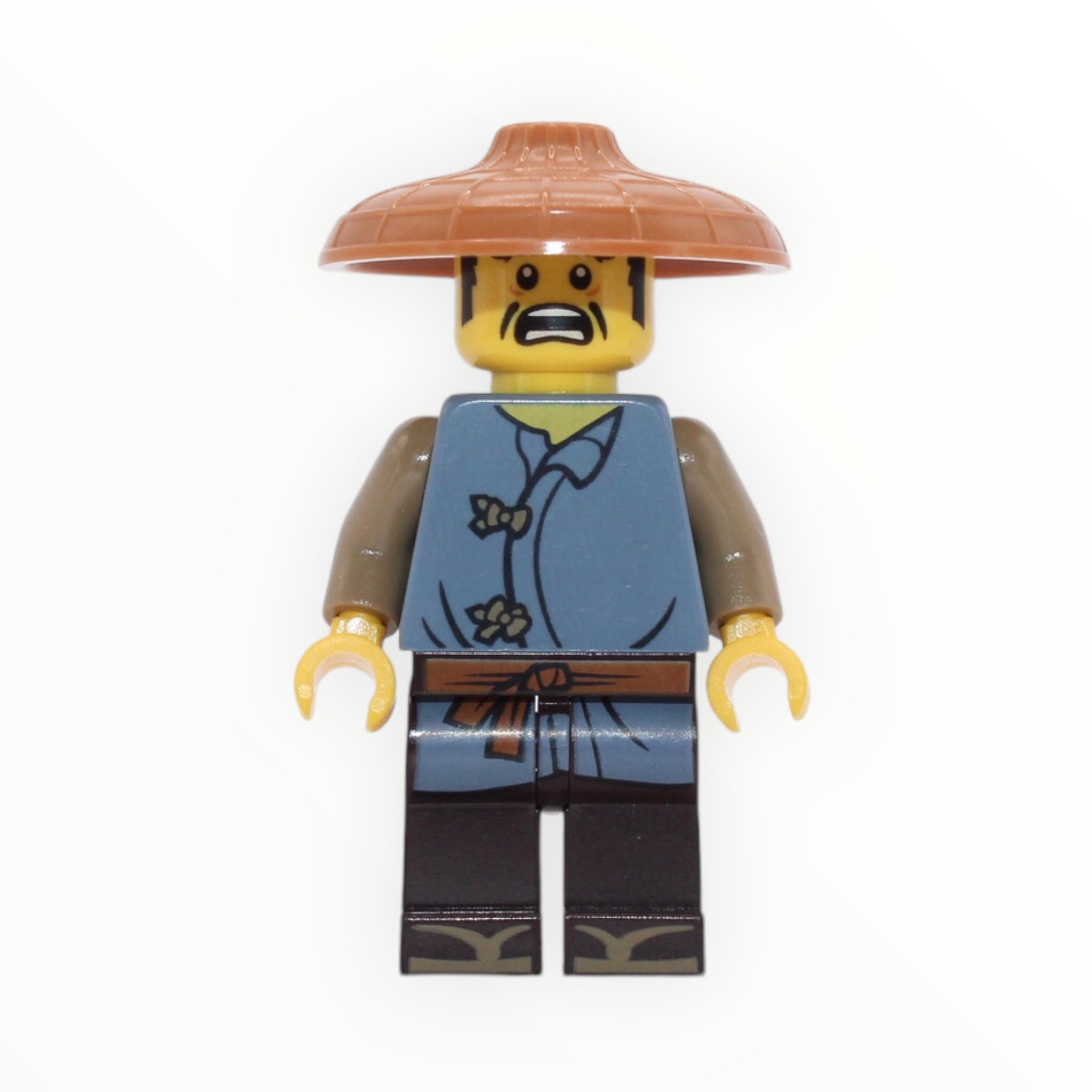 Ray (The LEGO Ninjago Movie)