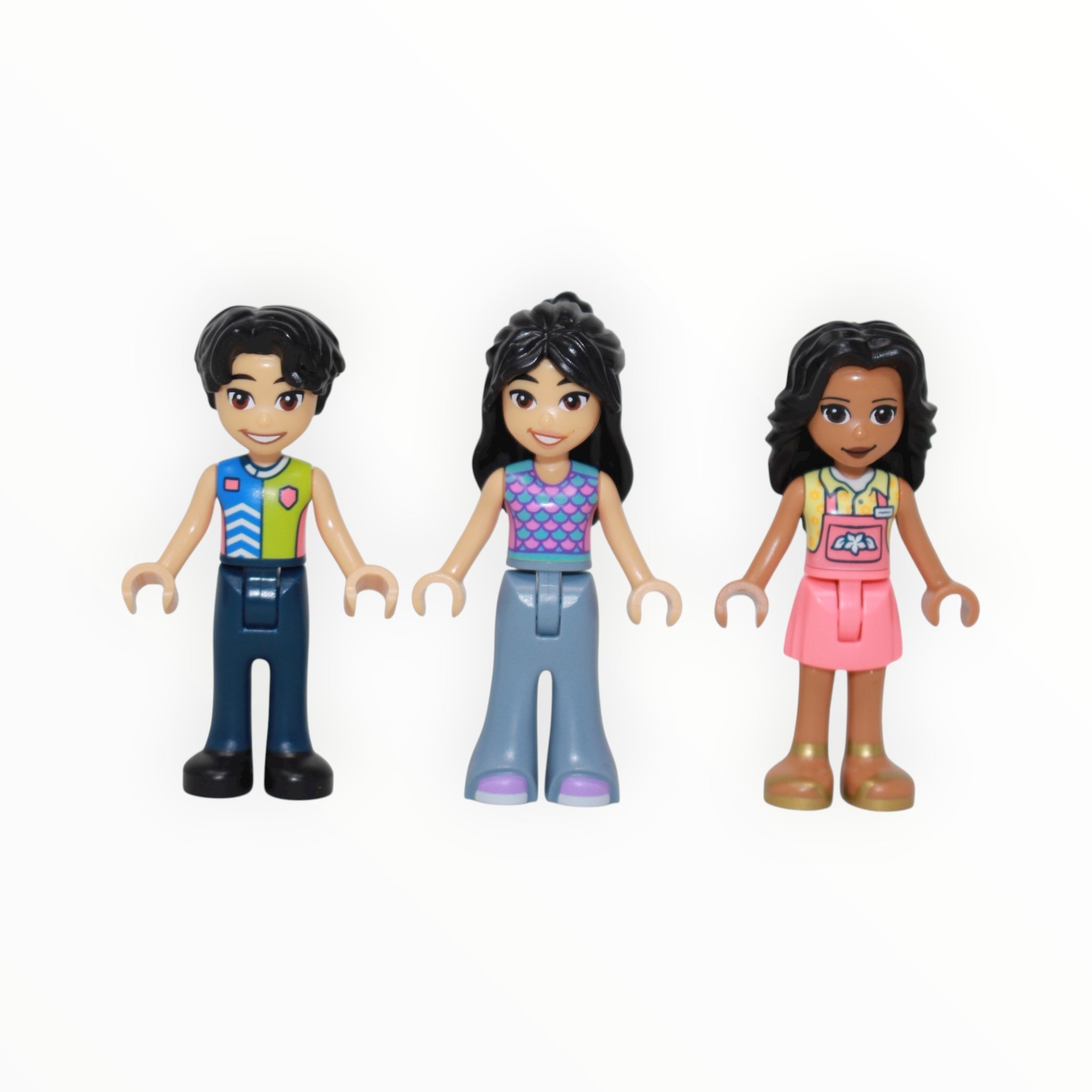 Used Set 41757 Friends Botanical Garden