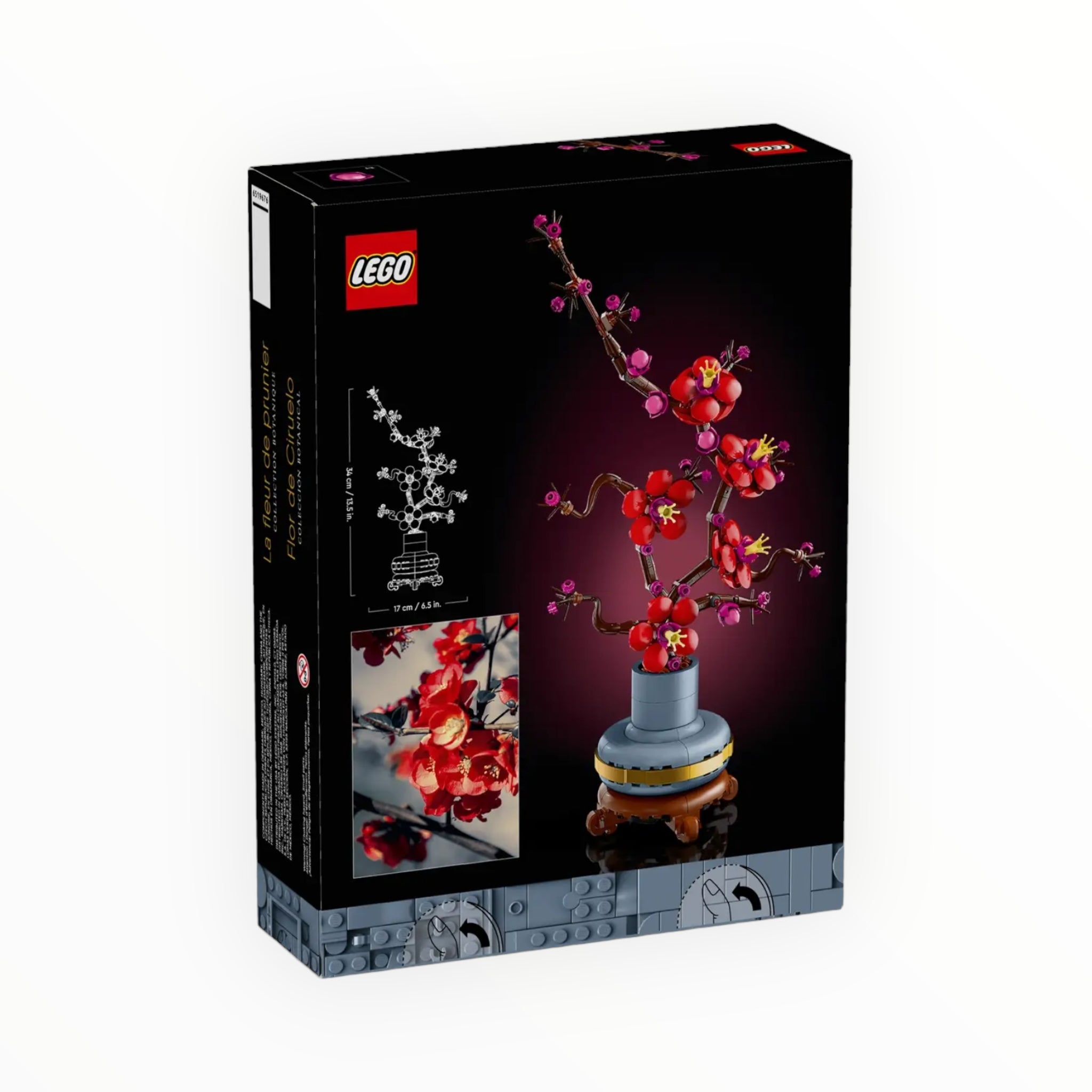 10369 Botanical Collection Plum Blossom