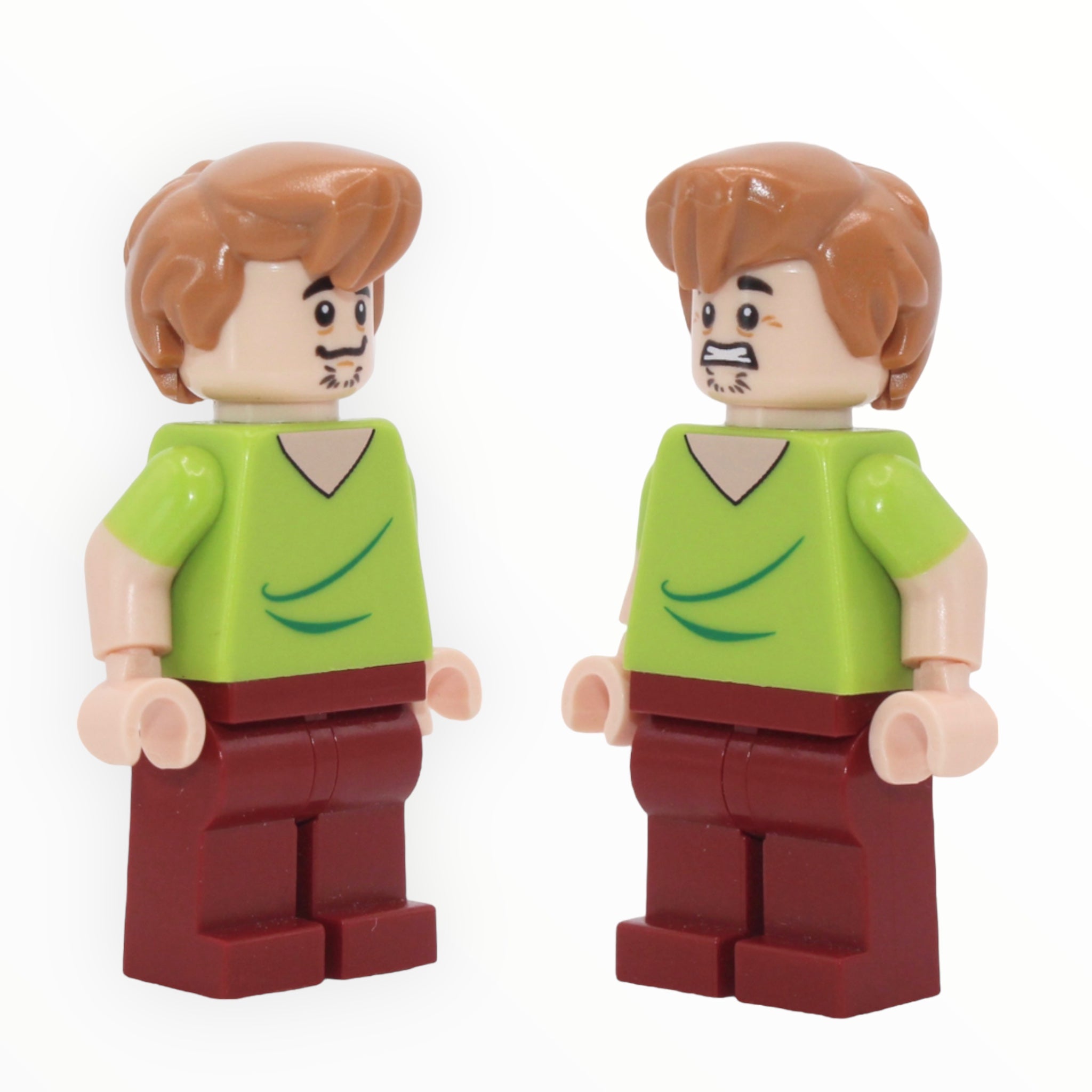 Shaggy Rogers (smile and scared)