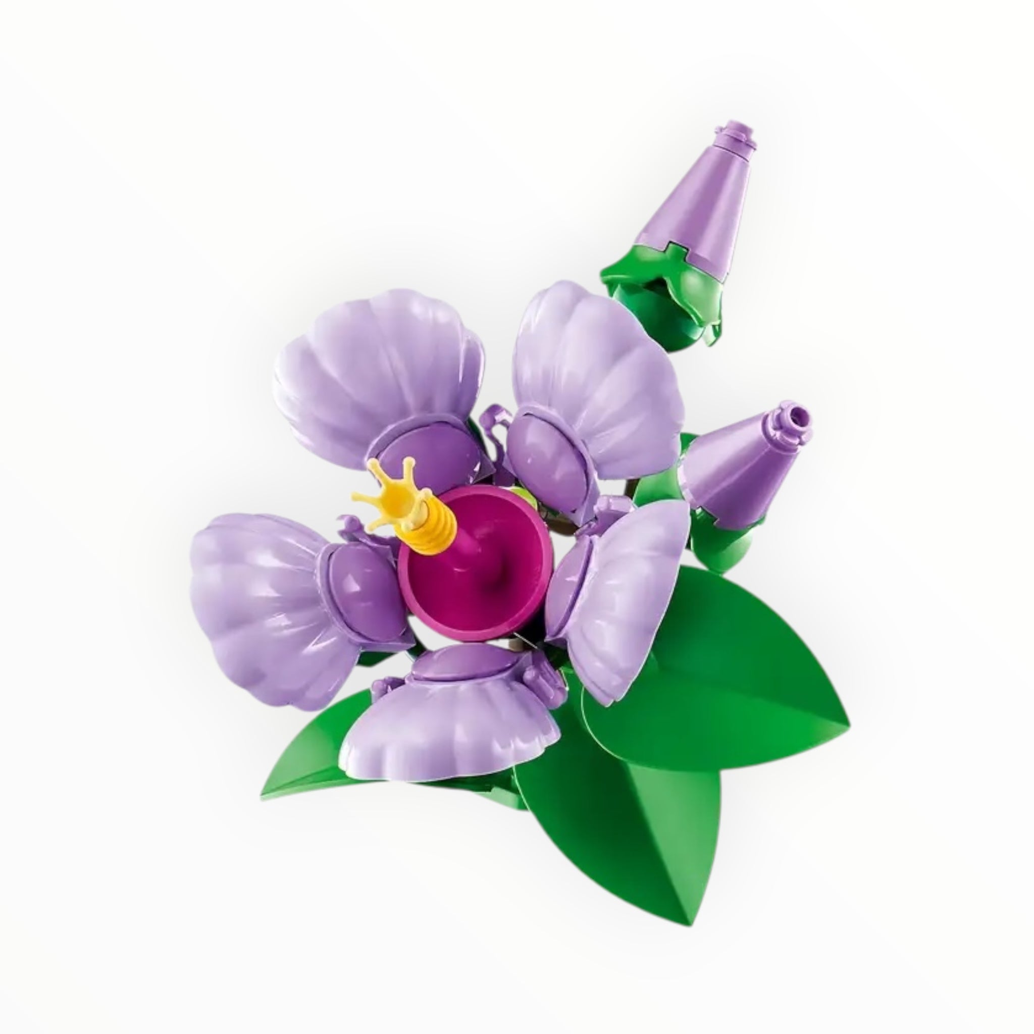 10372 Botanicals Hibiscus