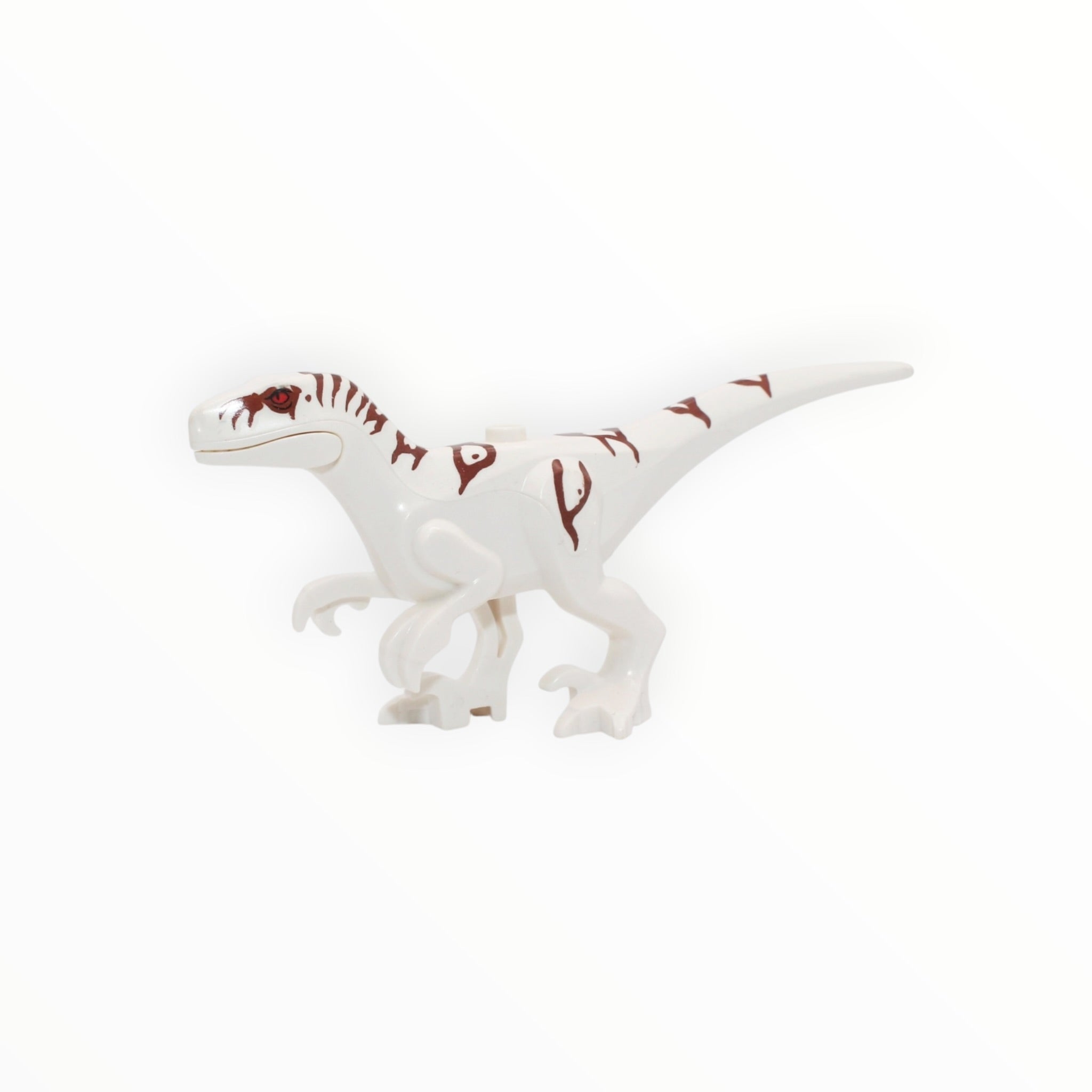 Atrociraptor (white with reddish brown stripes, 2022)