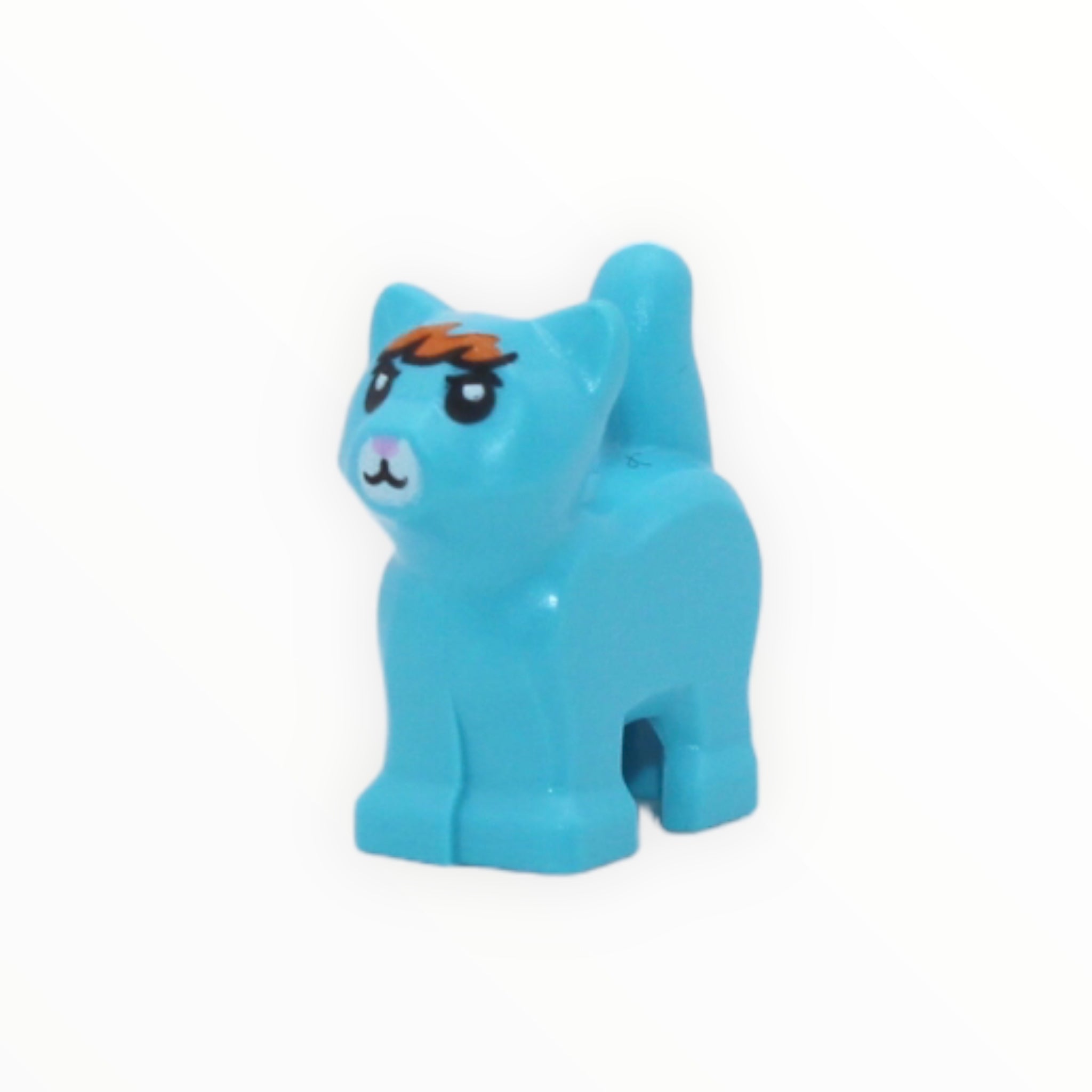 Mo (medium azure kitten, orange bangs)