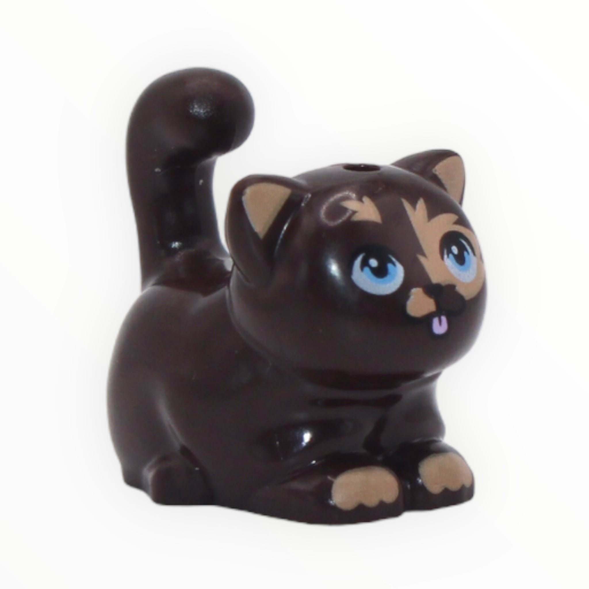 Pixel (large cat, sitting, dark brown, Friends)