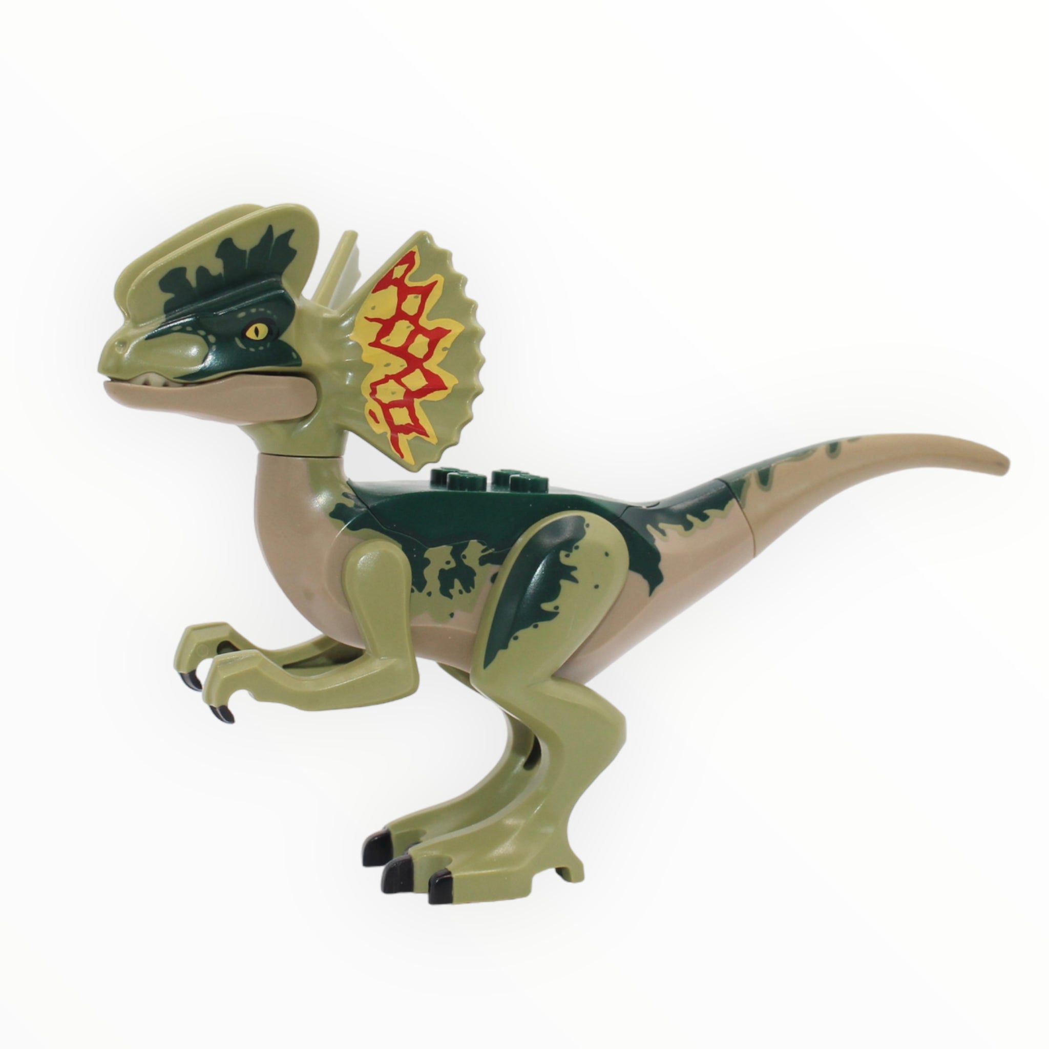 Olive Green Dilophosaurus (dark tan underbelly, 2018)