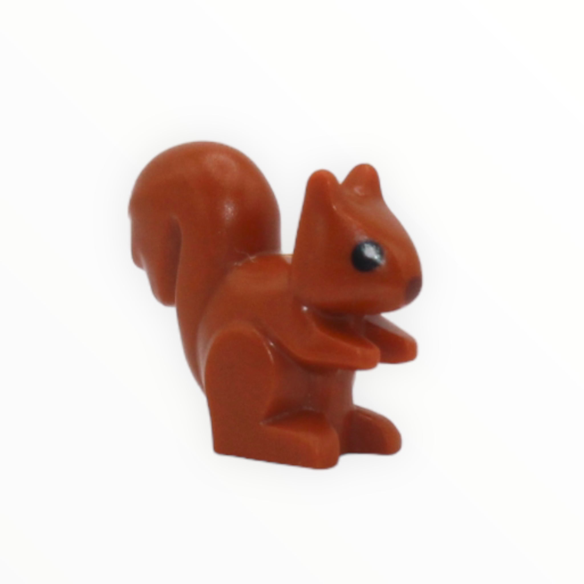 Squirrel (City, 2022)